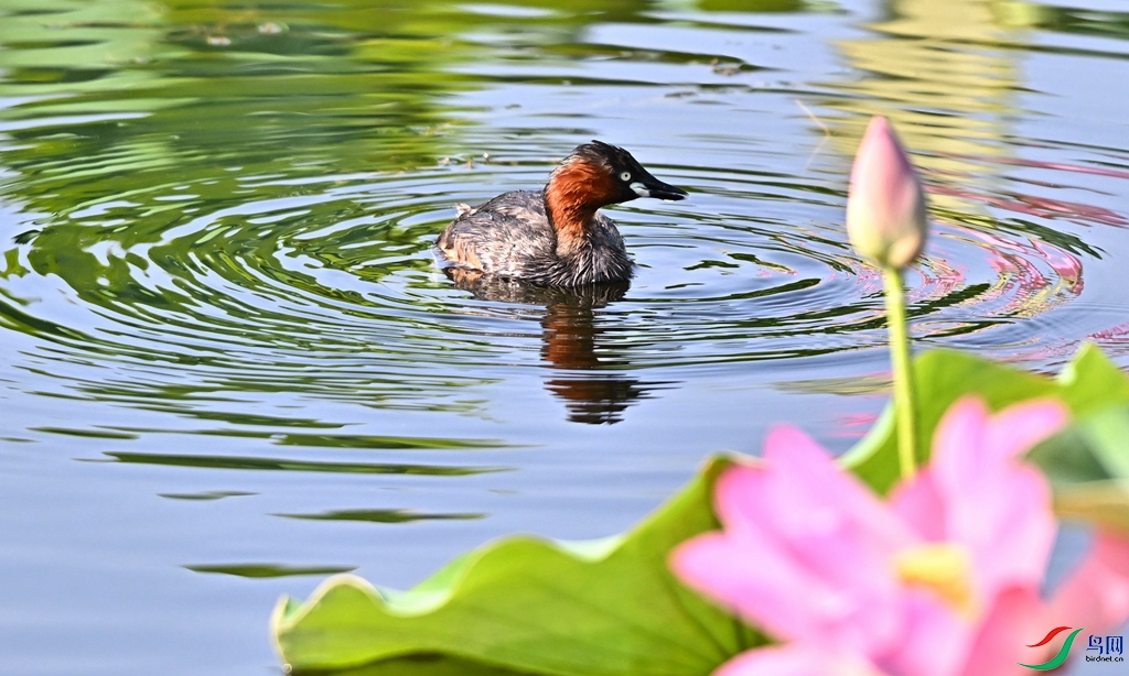 DSC_3782.JPG