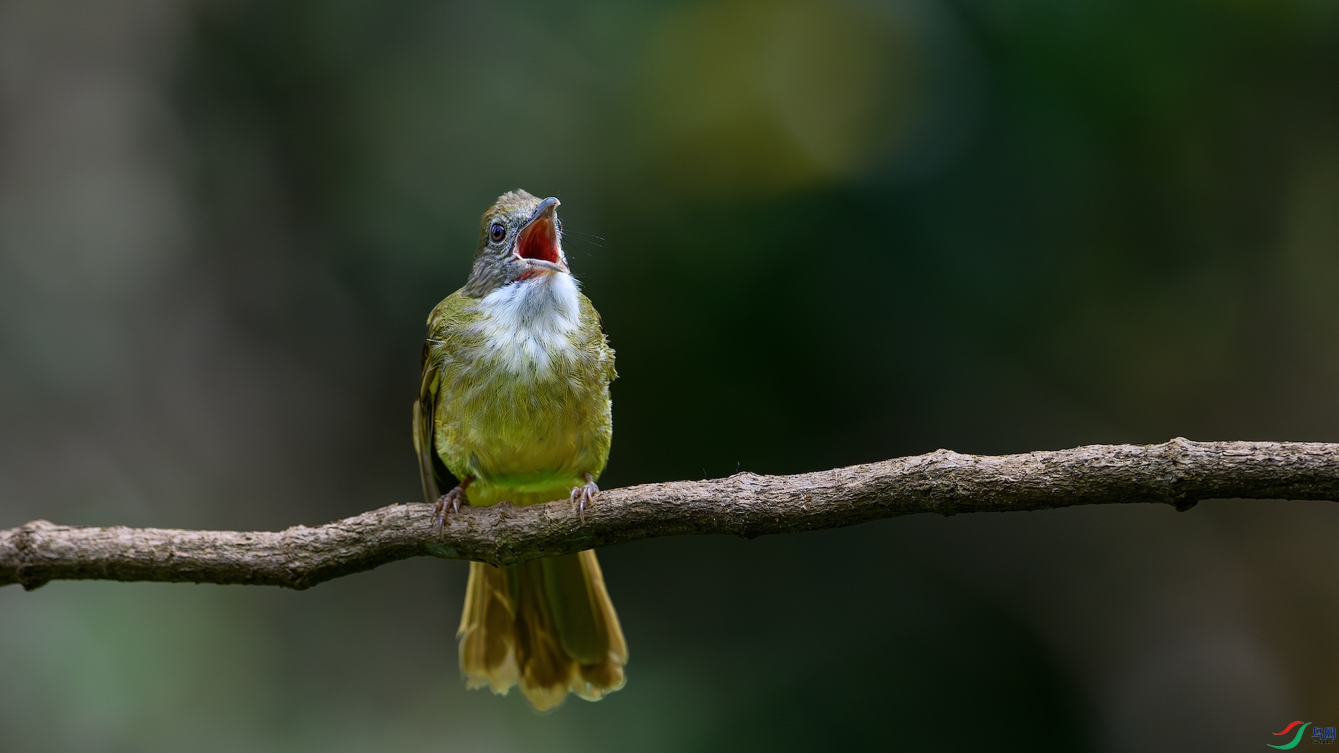 1_XXL1165-����ǿ-NR ���� 2.jpeg