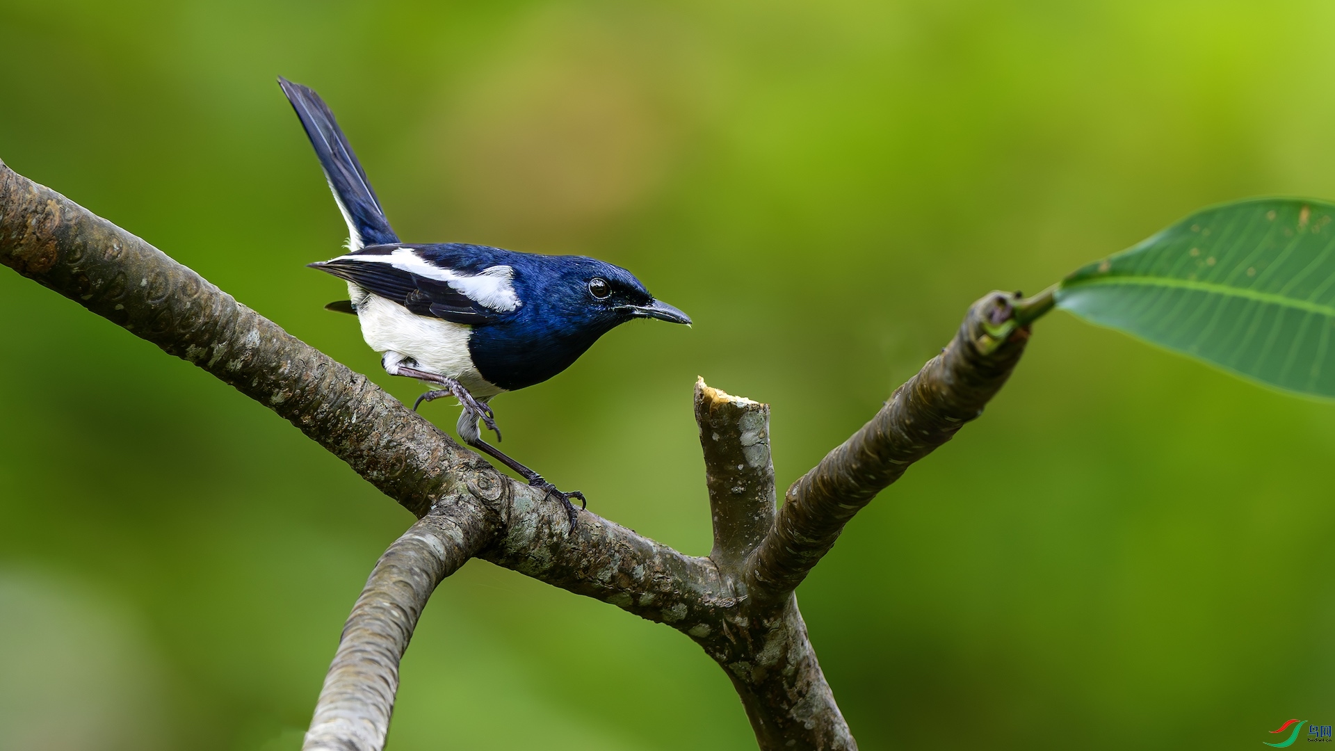 3_XXL3015-����ǿ-NR ����.jpeg