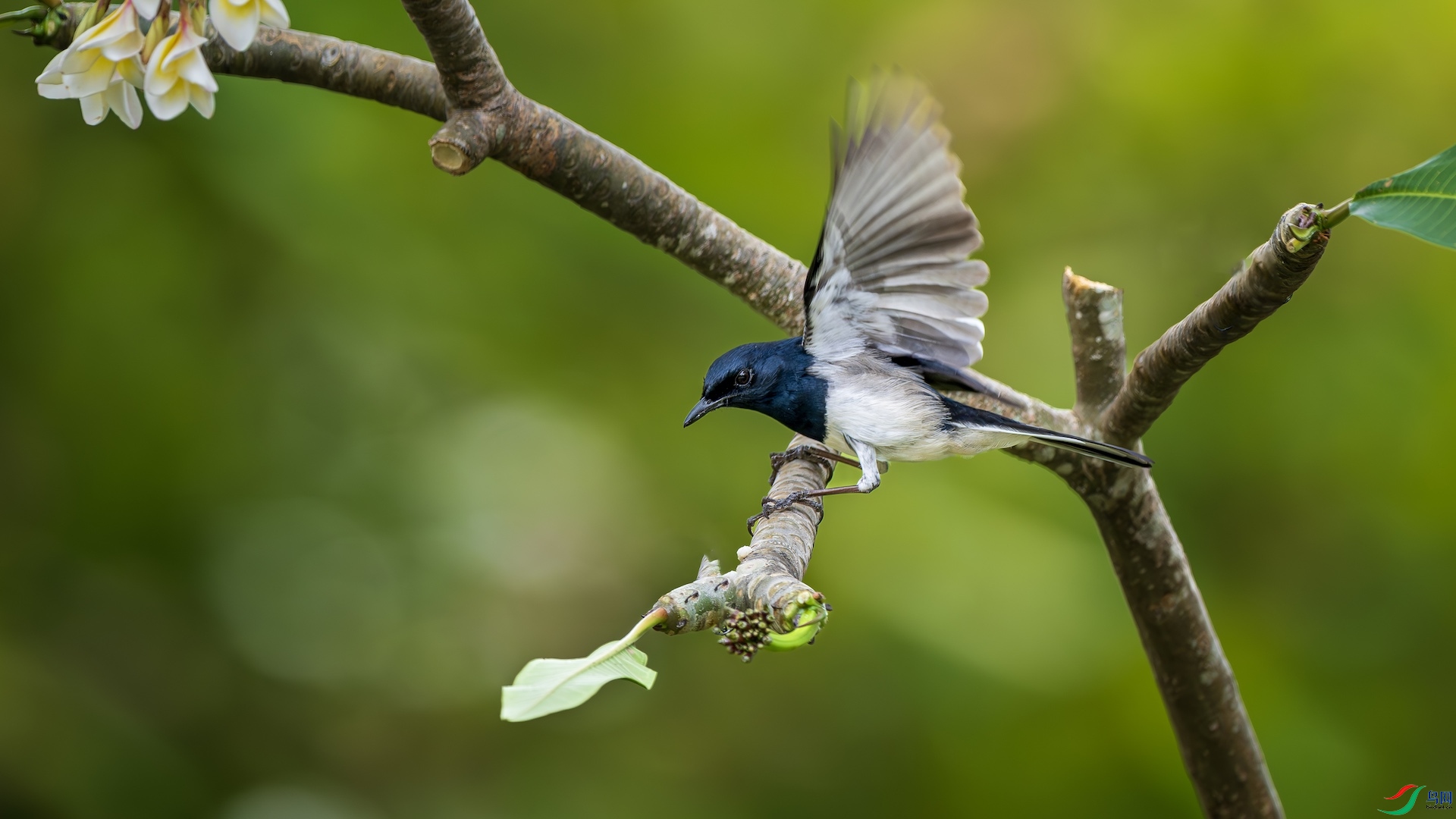 3_XXL3056-����ǿ-NR ����.jpeg