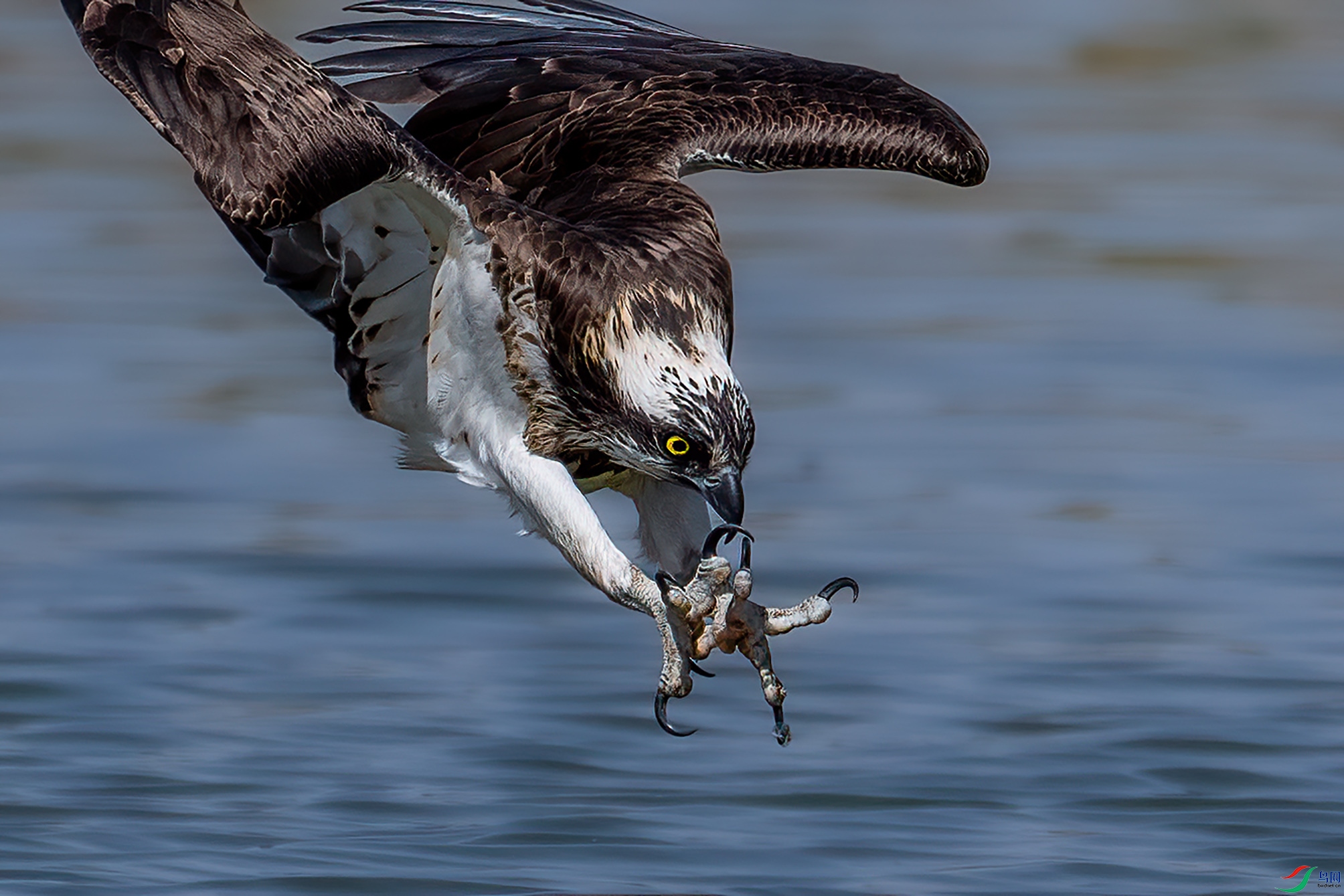 DSC00899 ����1.jpg