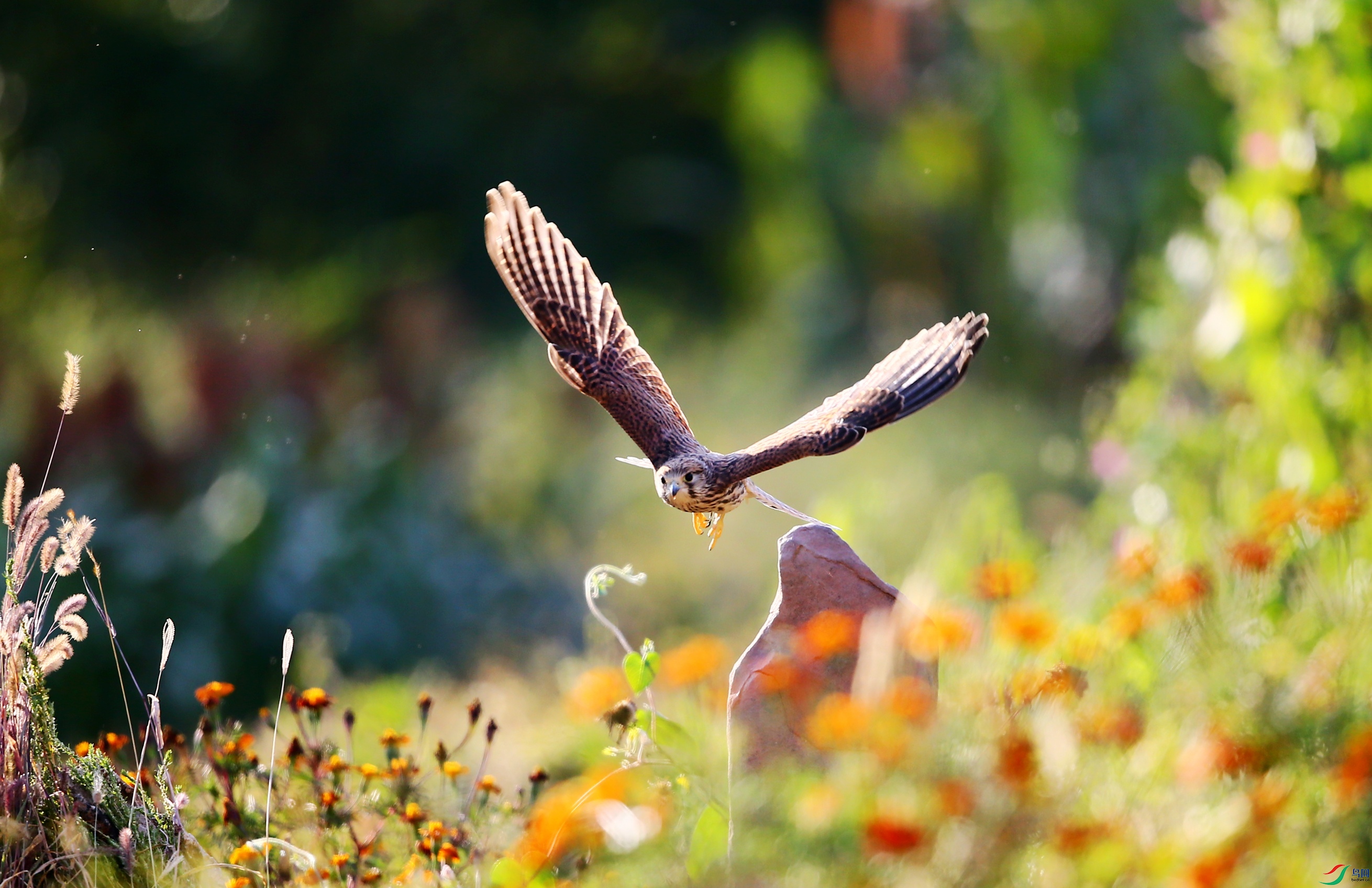 ����  (31).JPG