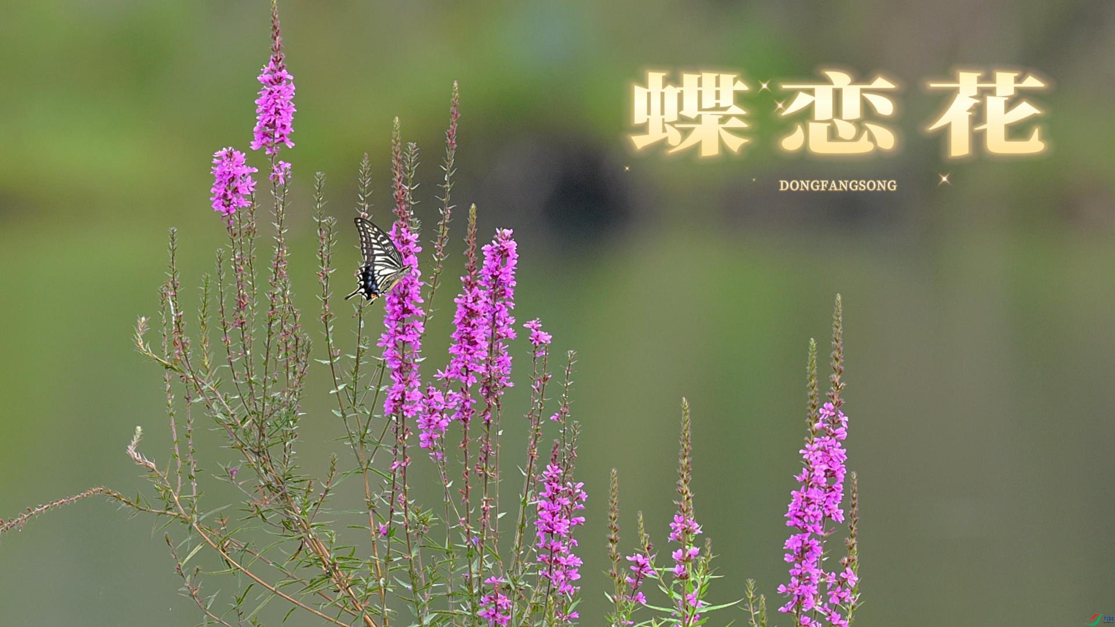 8��19�� (3)(1)-����.jpg