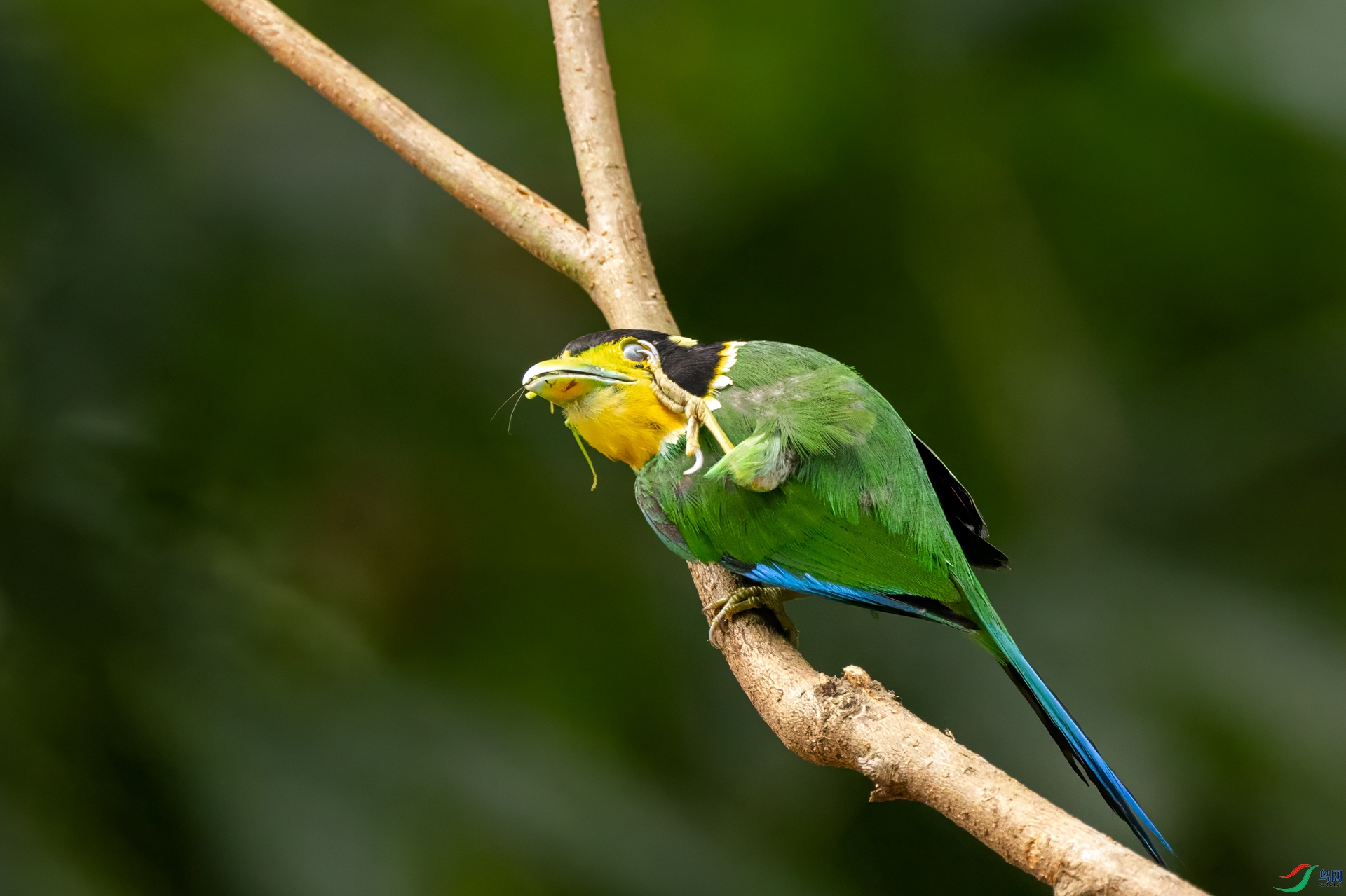 IMG_6170a.jpg