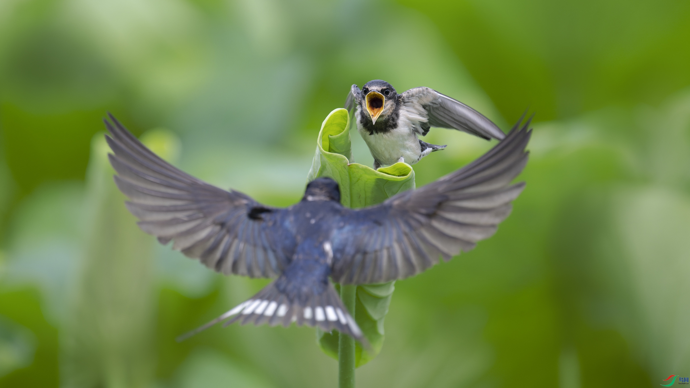 _DSC4582_DxO.jpg
