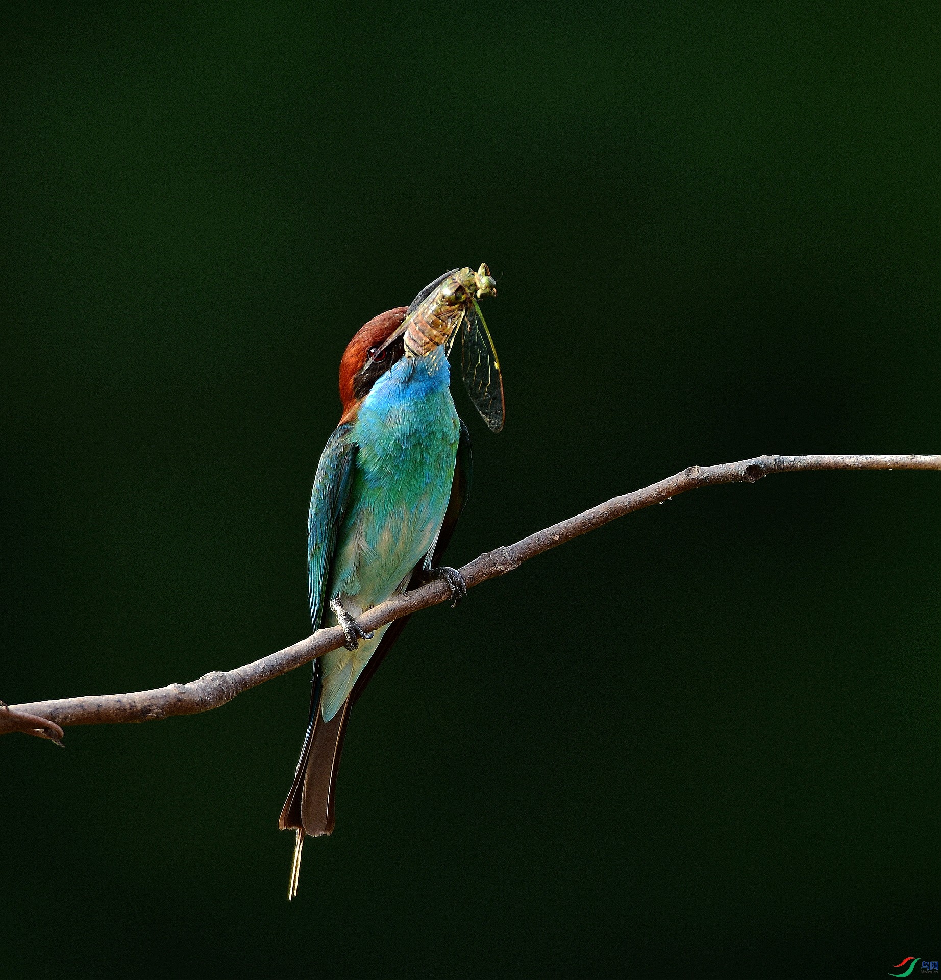 D8I_6328.jpg