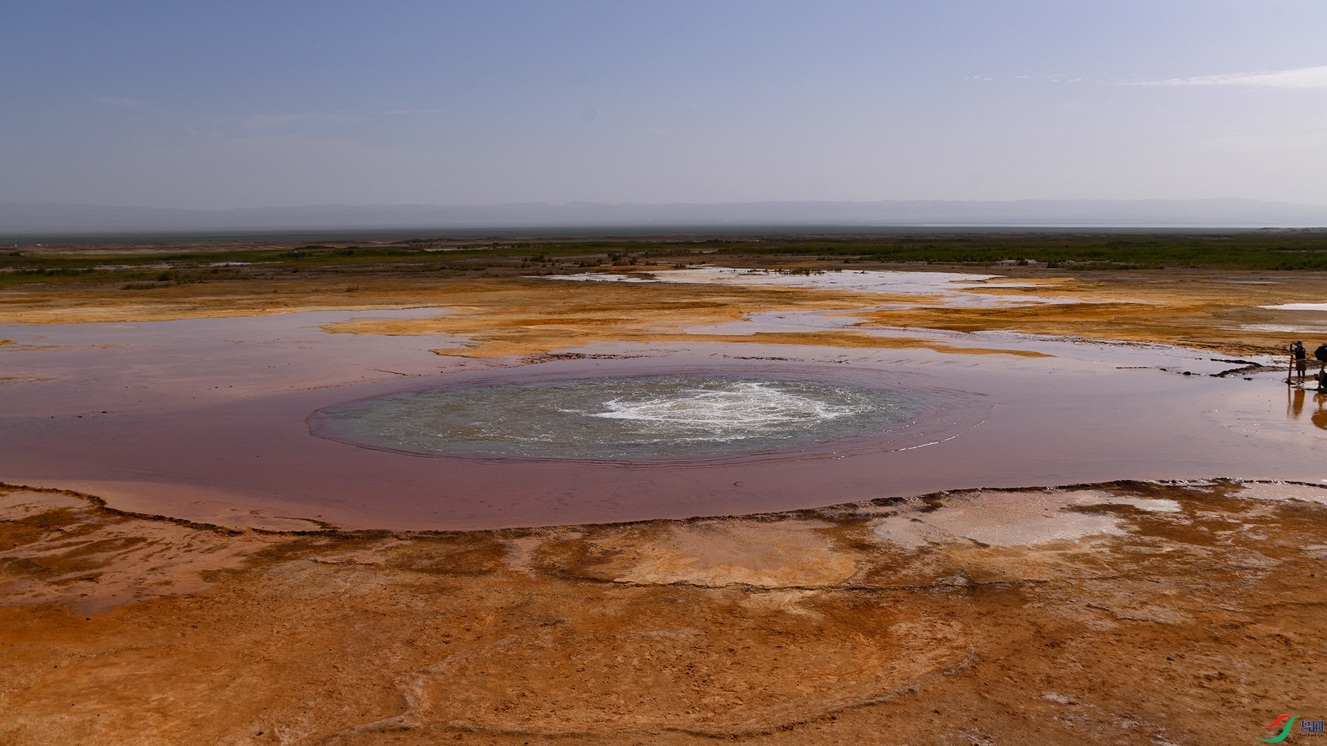 XQD_9215 ����.jpg