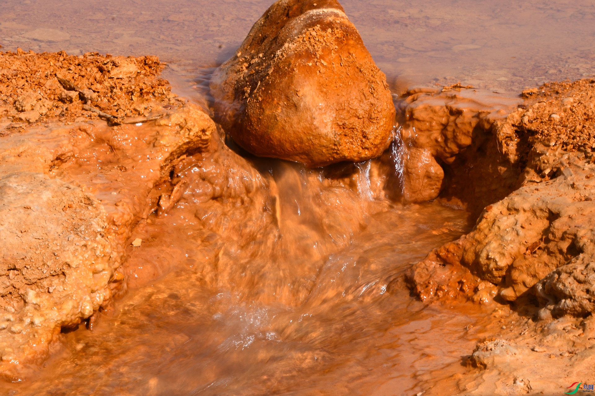 XQD_9230 ����.jpg