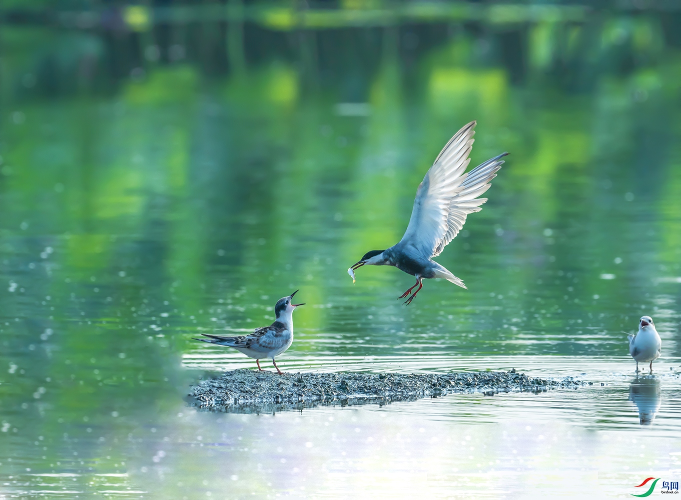 DSC_8719 ���� 2.jpg