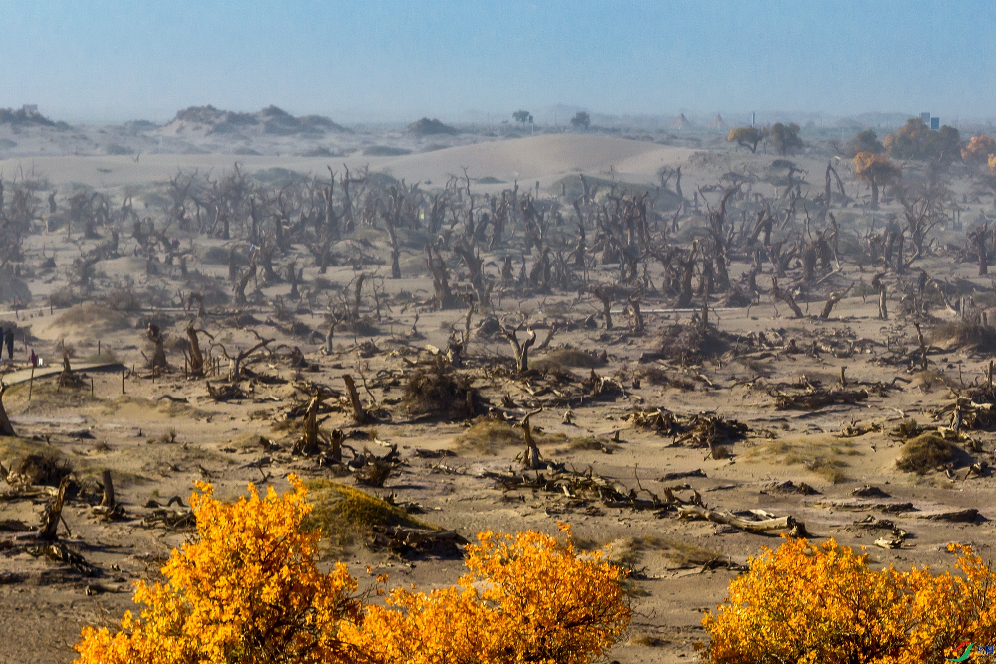 DJI_0799aa ����.jpg