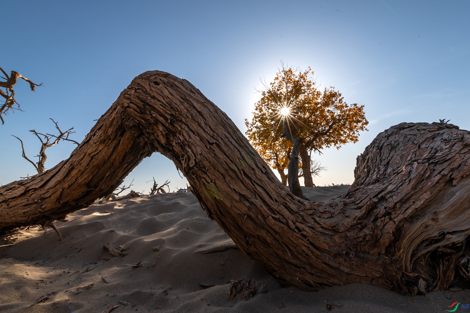 DSC_3581a ����.jpg