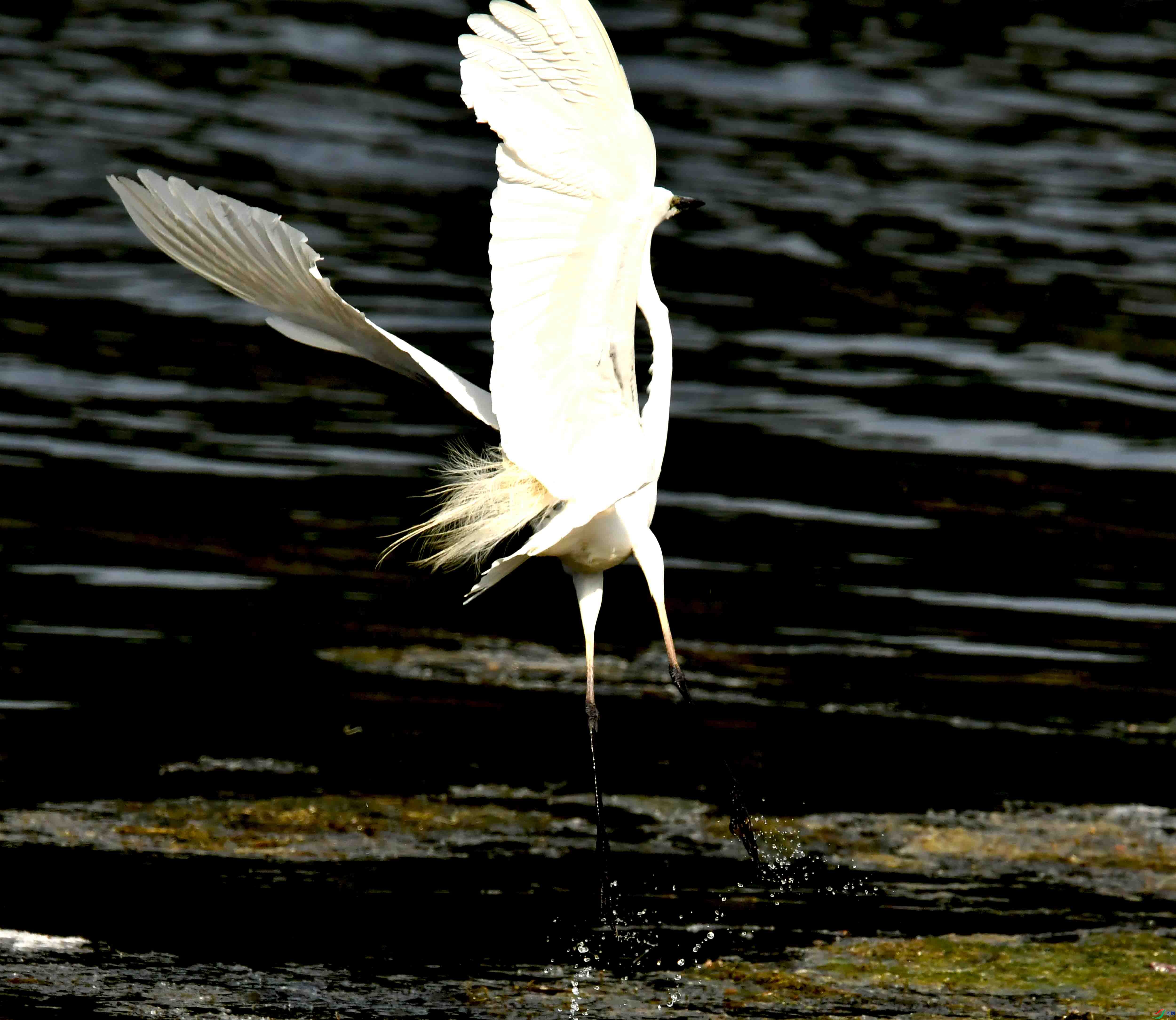 DSC_4195.JPG
