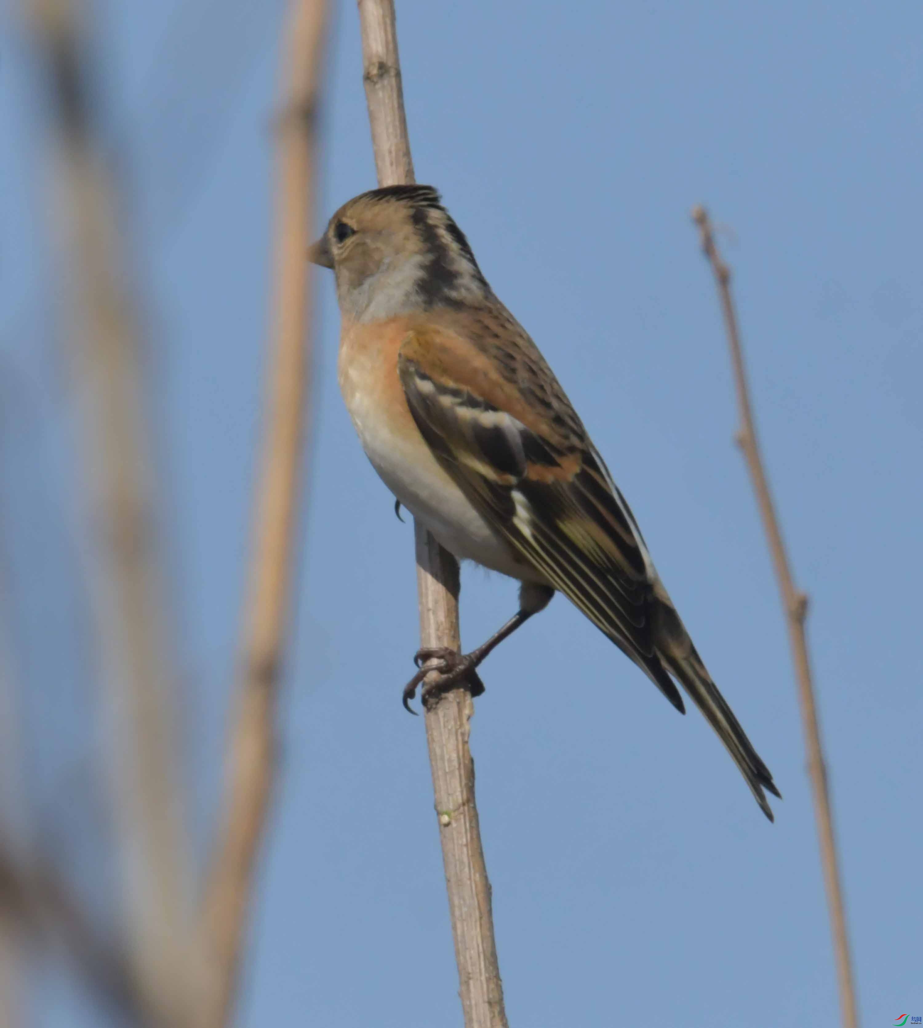 DSC_2886.JPG