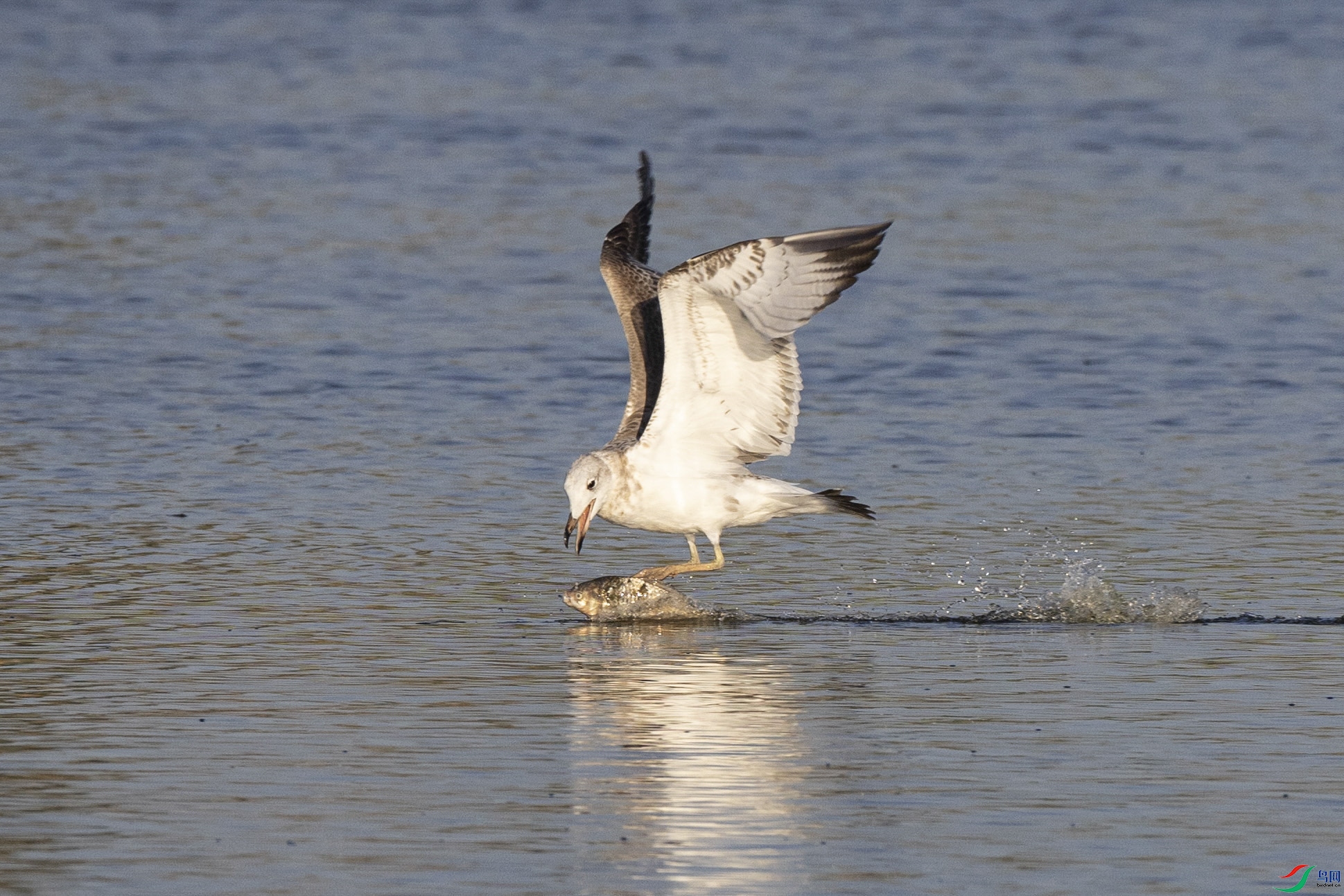 4F8A6699 ����.jpg