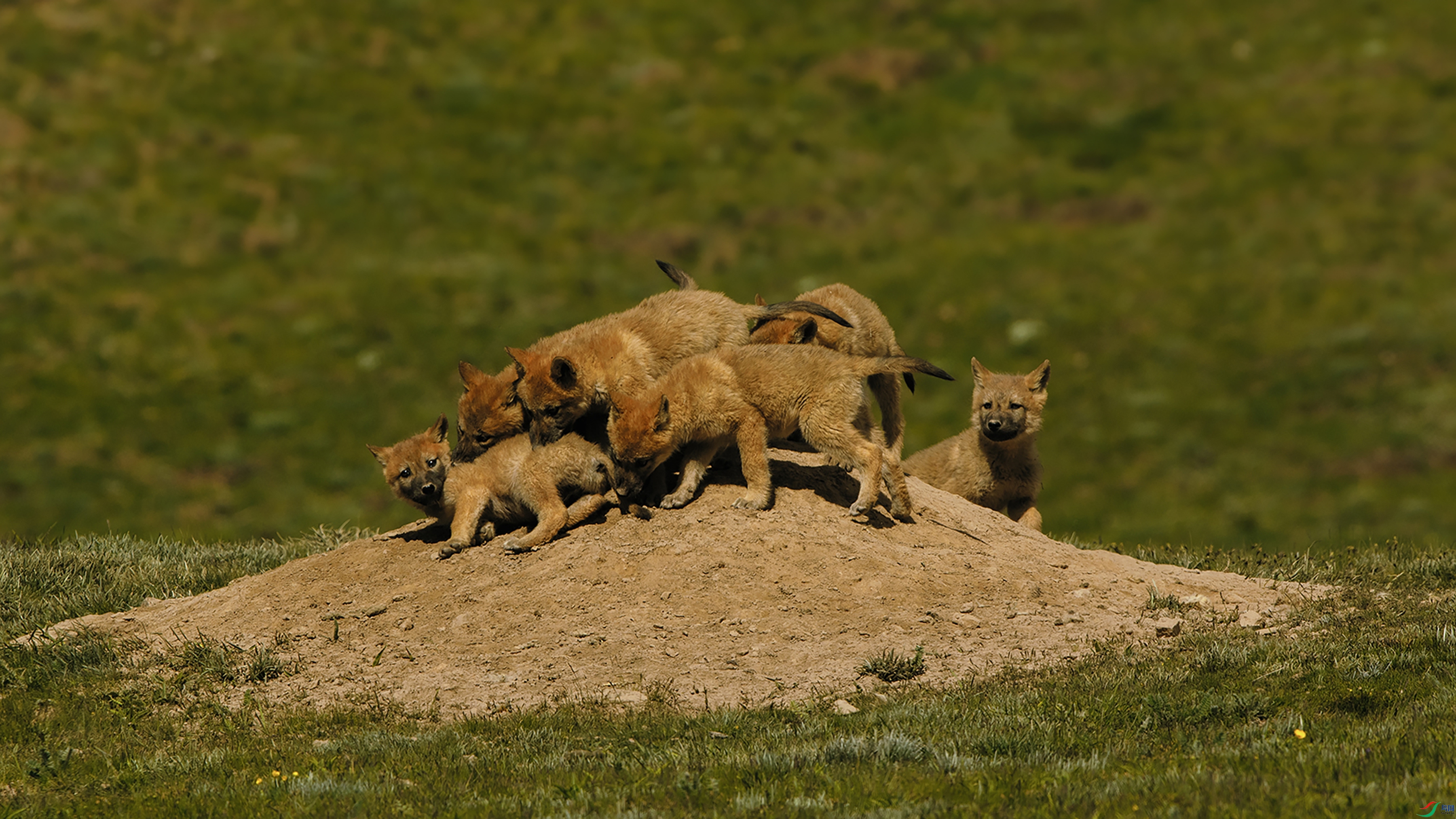 ���Ҹ����̡� - ����_����__����.jpg