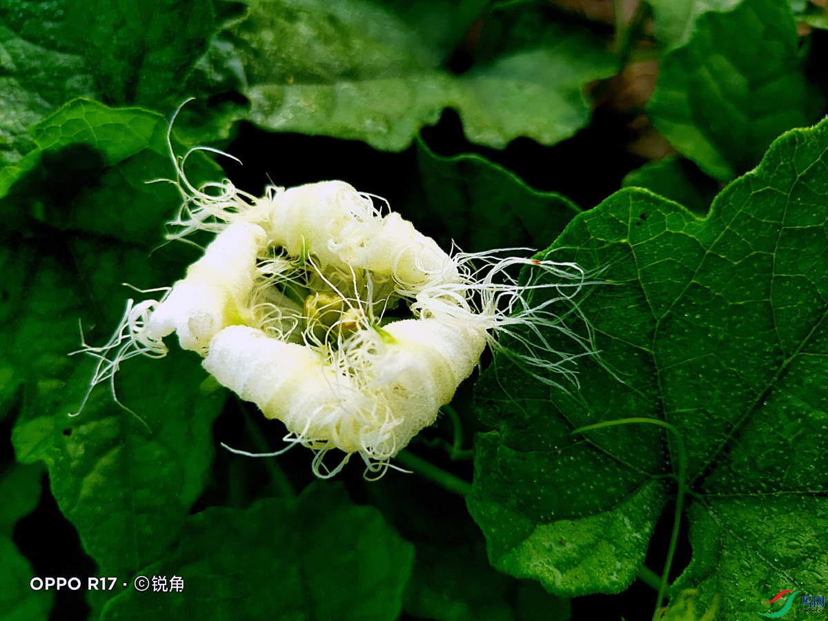 IMG20240822072214.jpg
