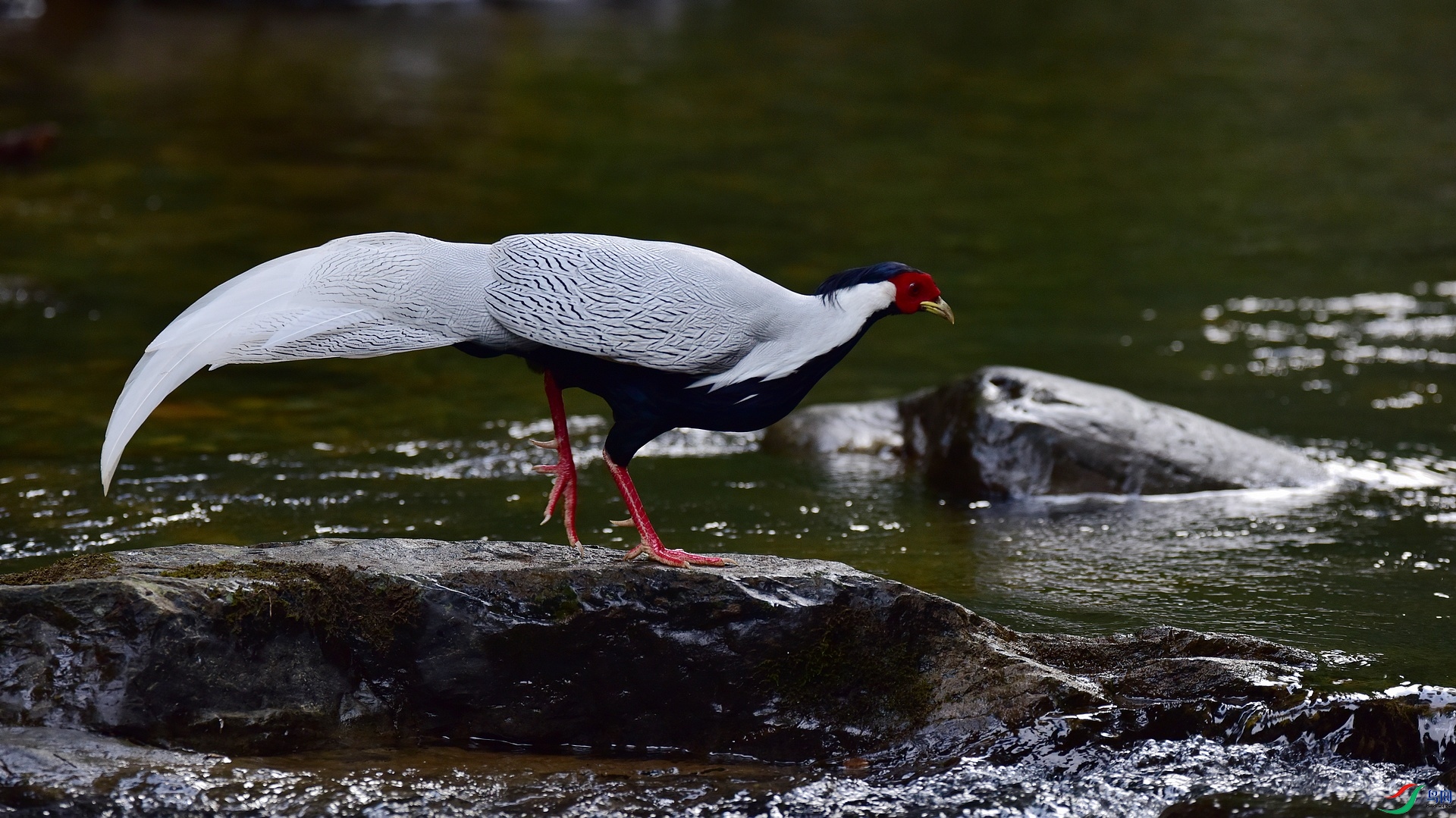 D8I_1363.jpg