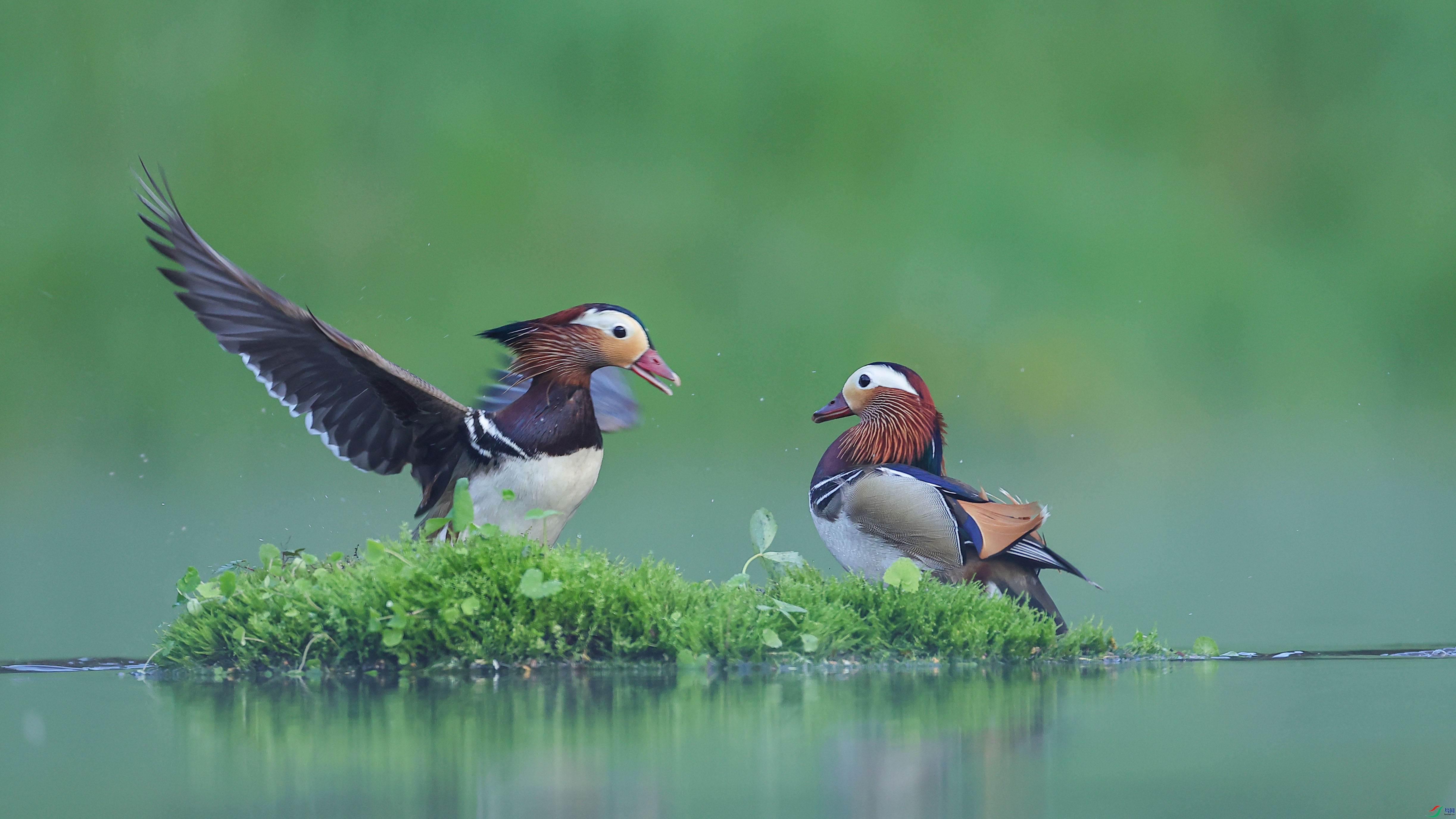 0Q4A5075.jpg