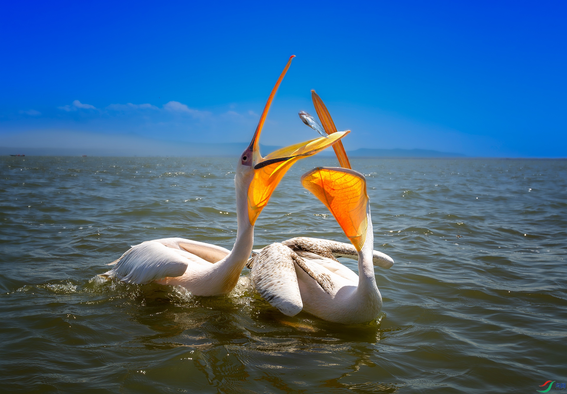 547A4233[1]-����ǿ-NR ����.jpg