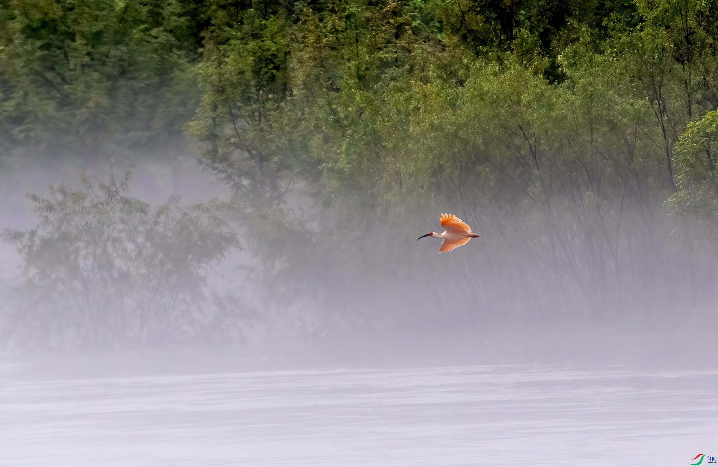 DSC_9423 ����.jpg