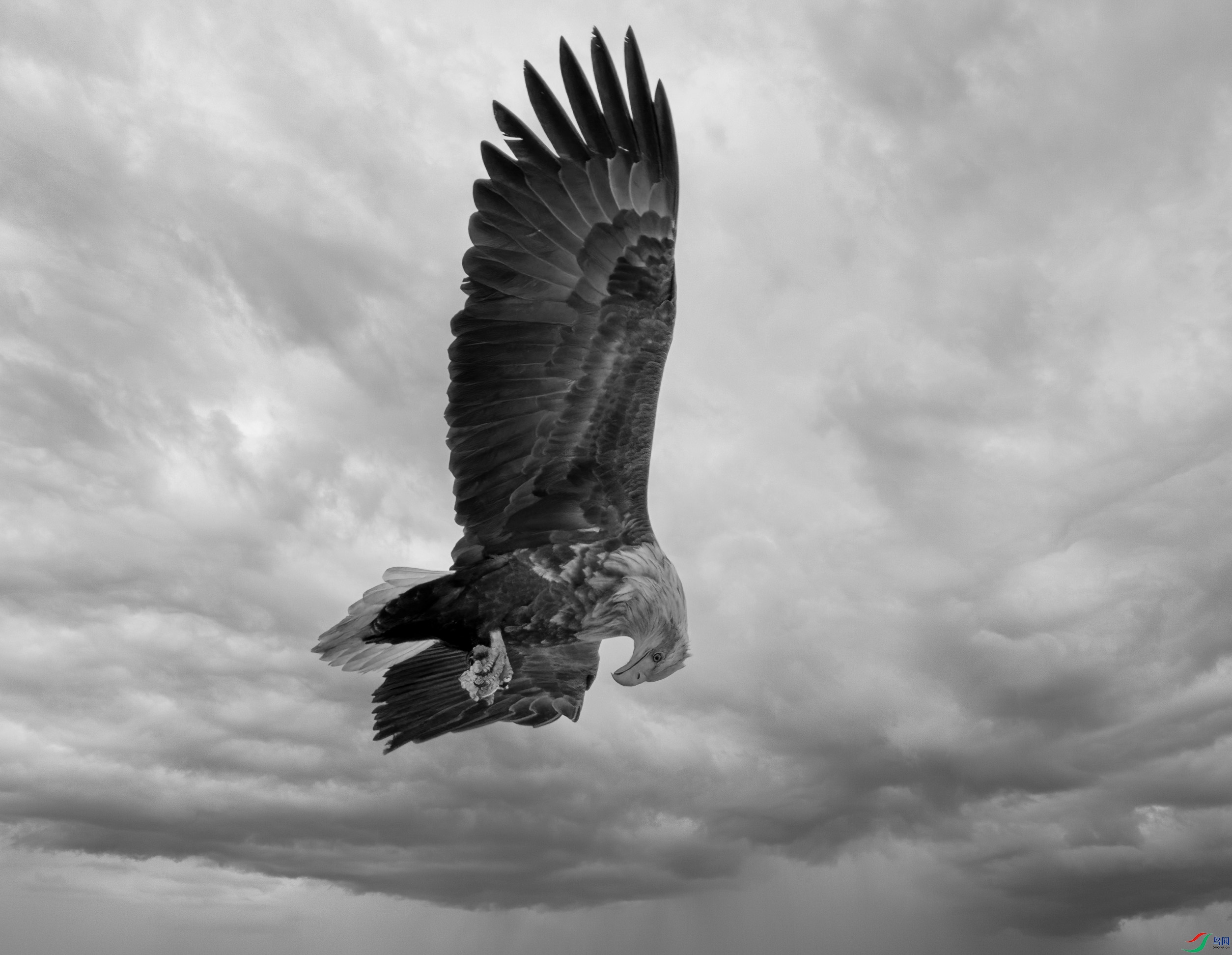 DSC05076 ����.jpg