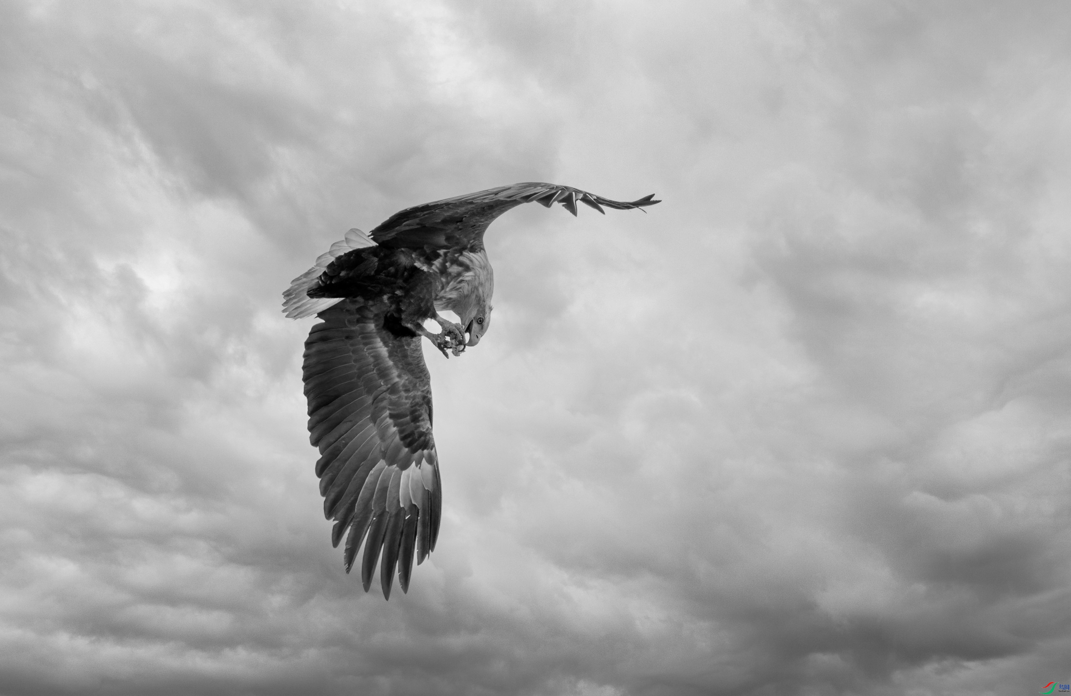 DSC05079 ����.jpg