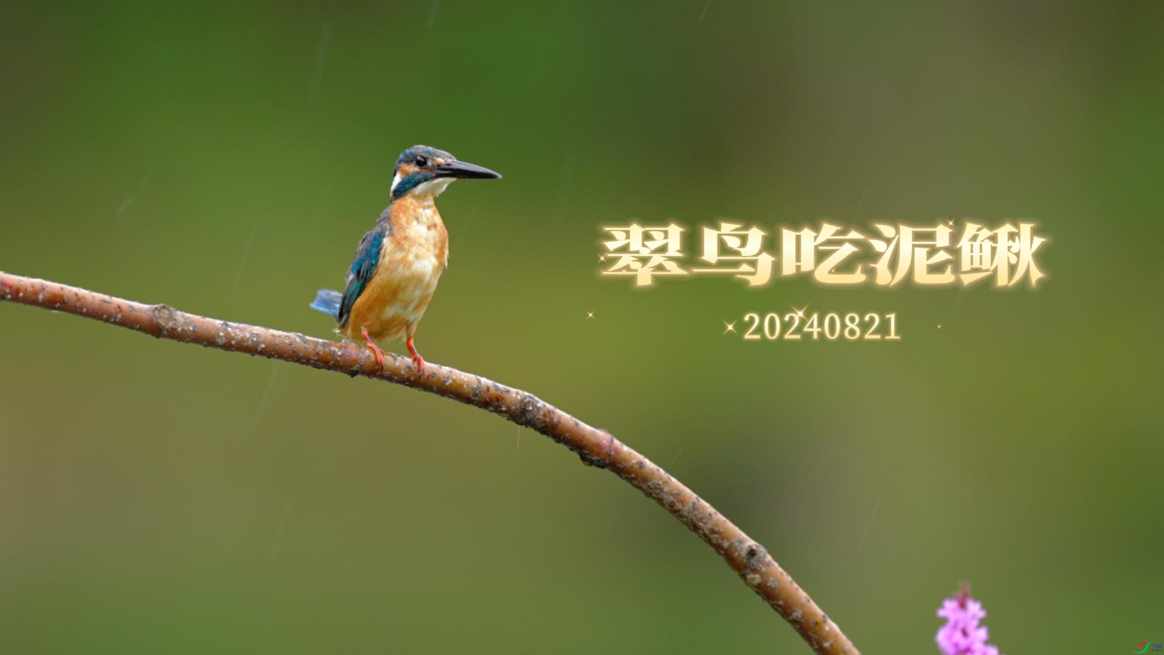 8��21�� (1)-����.jpg