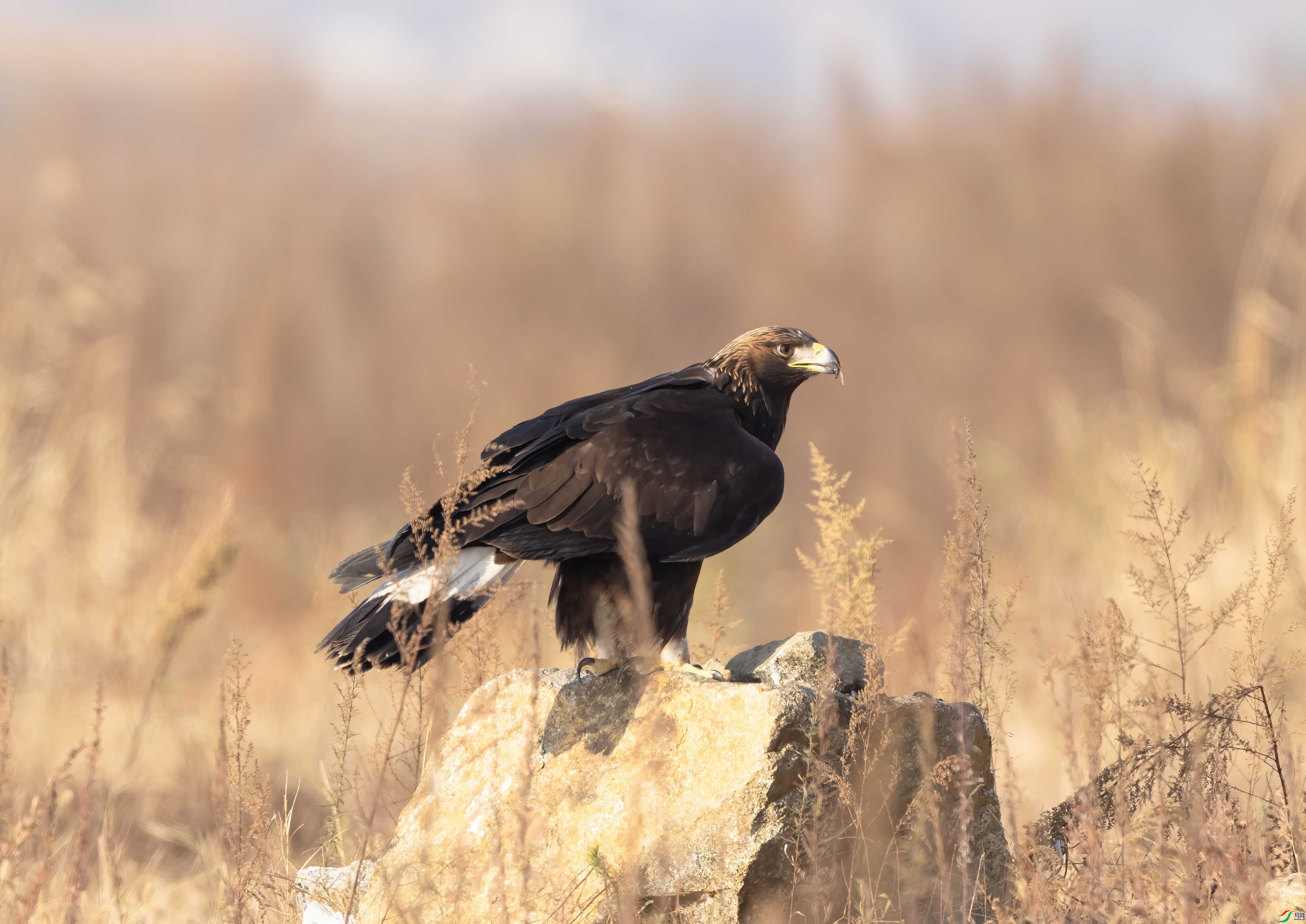 DSC04409 ���� 2.jpg