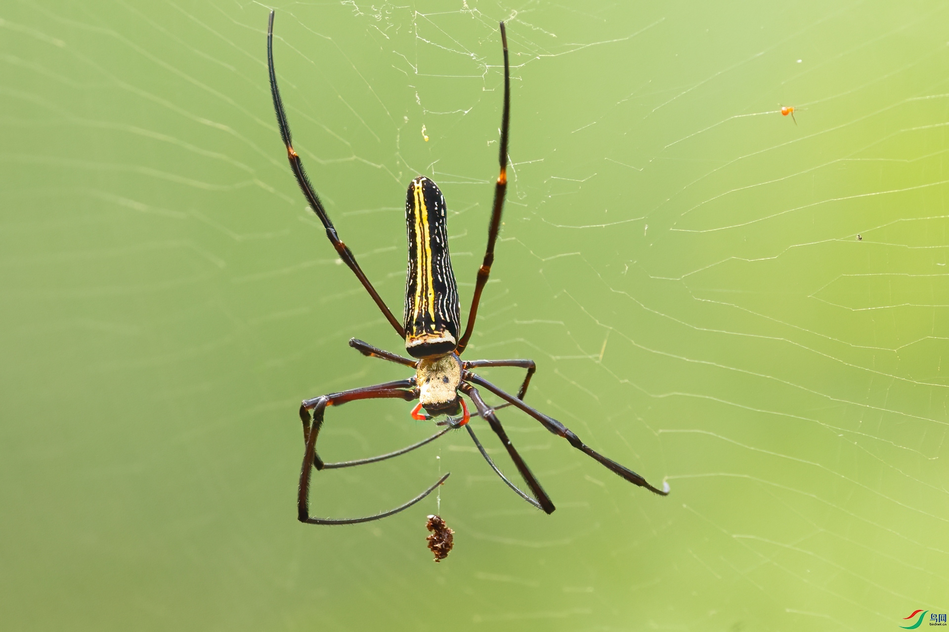 B86I0901 _����.jpg