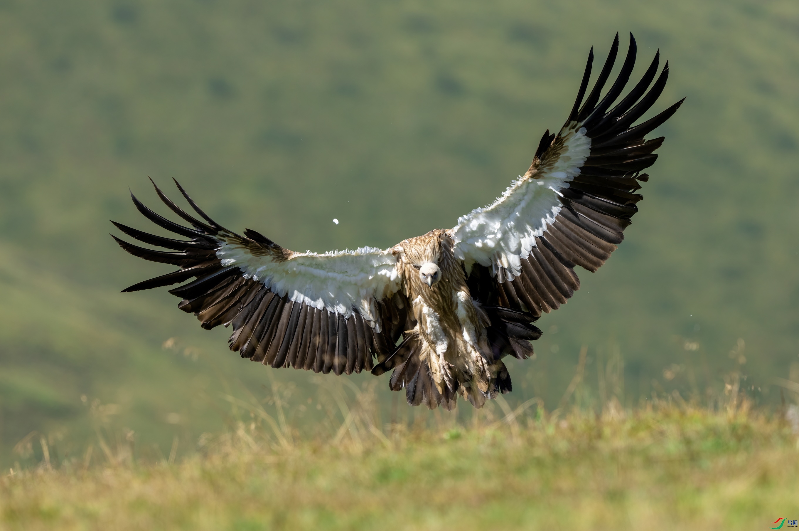 _DSC3170 ����.jpgx.jpg