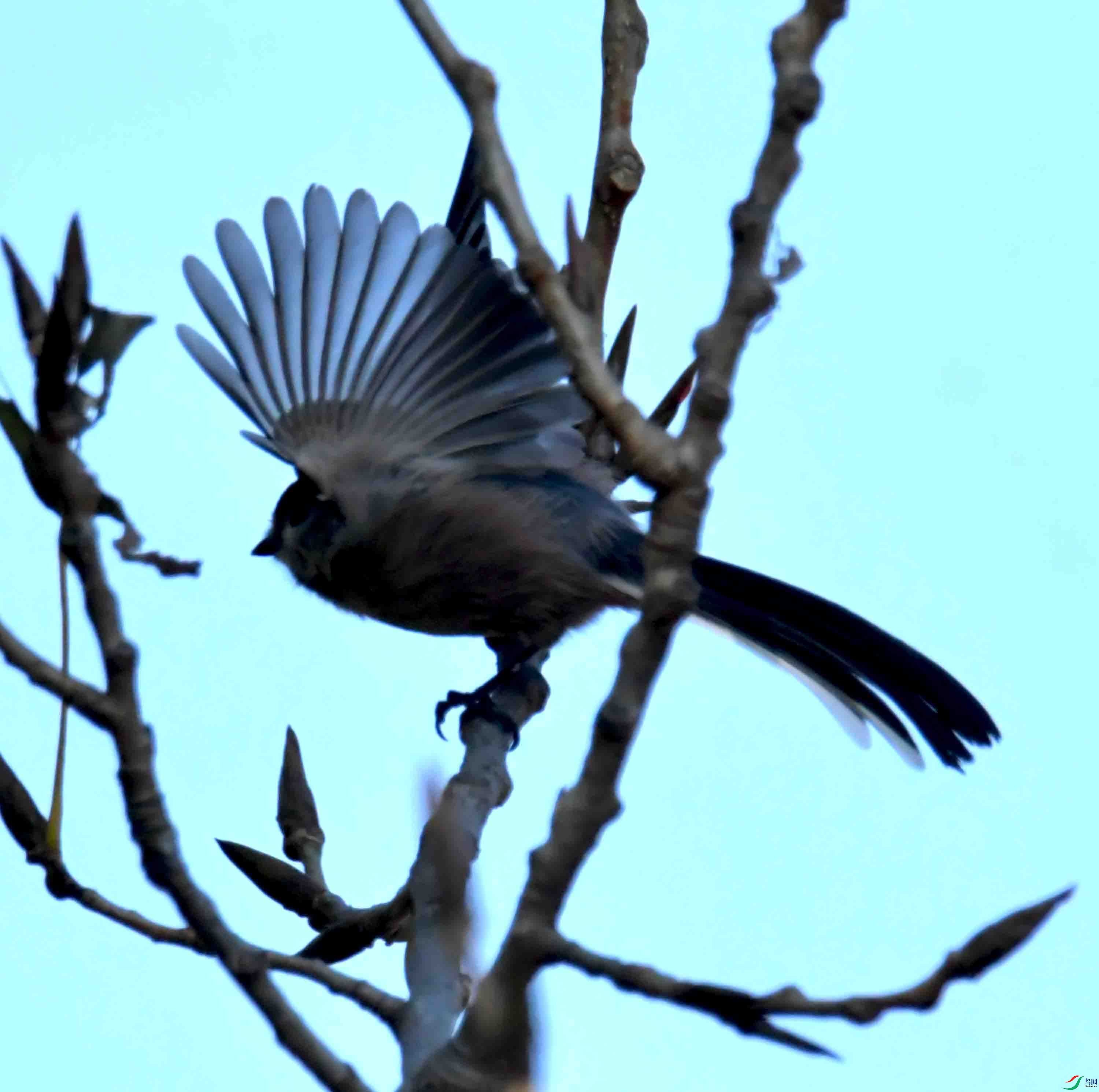 DSC_2992.JPG
