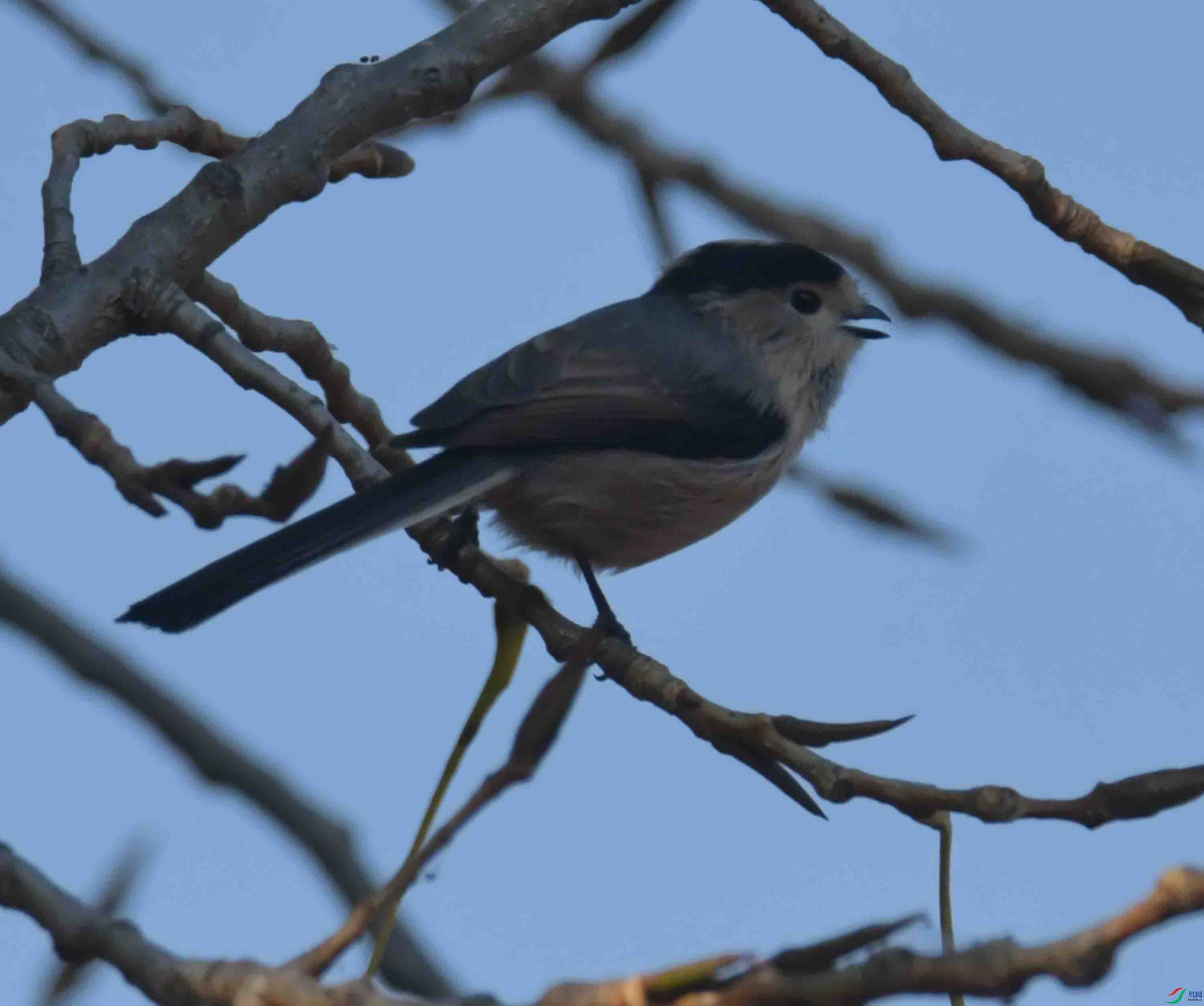 DSC_3027.JPG