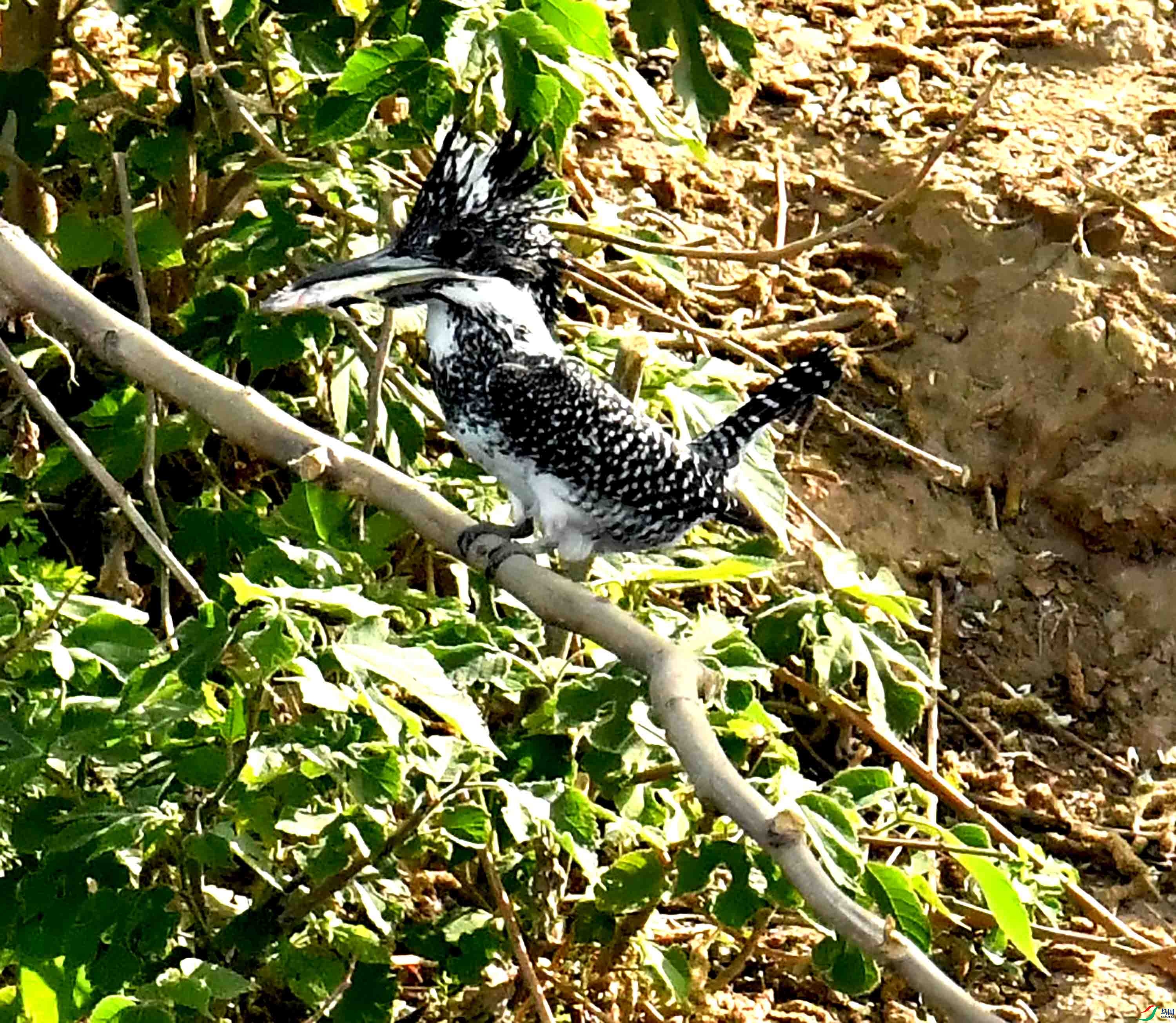 DSC_2969.JPG