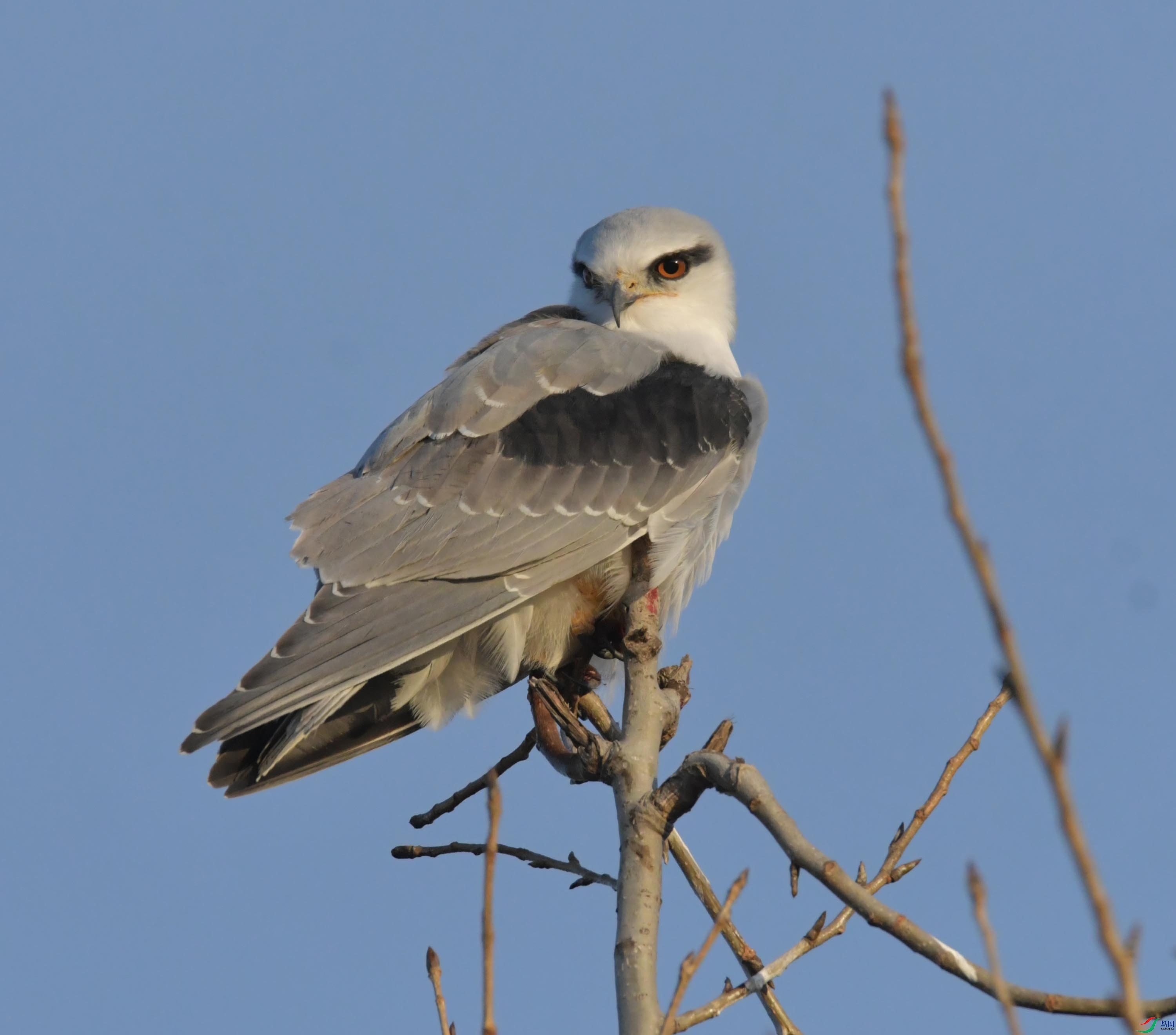 DSC_3985.JPG