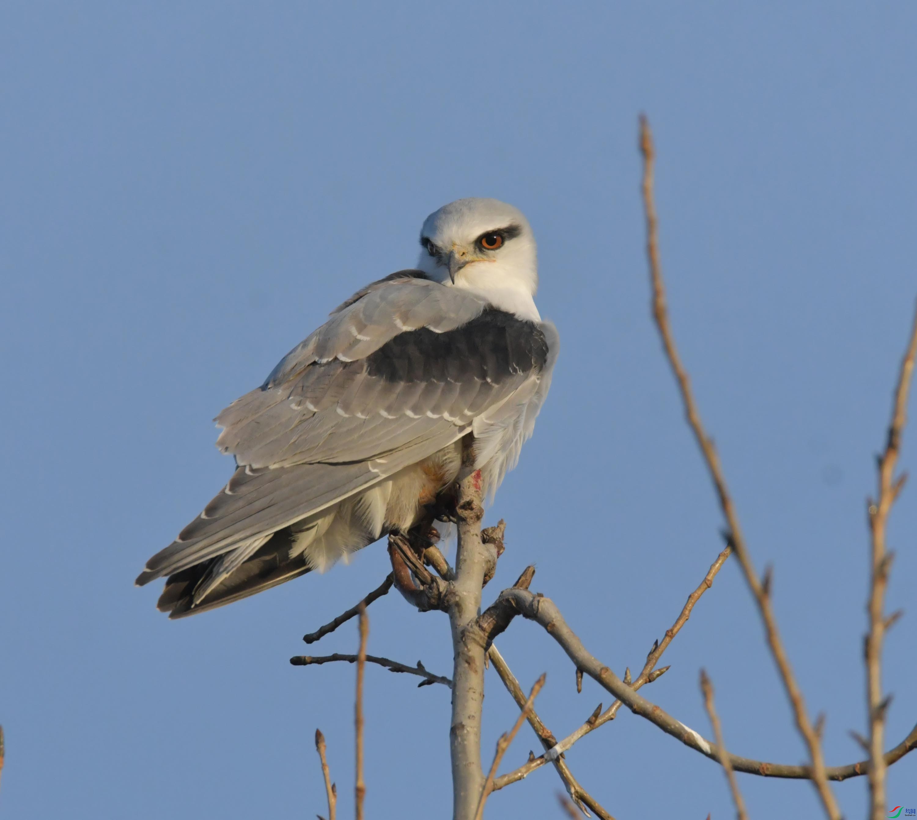 DSC_3984.JPG