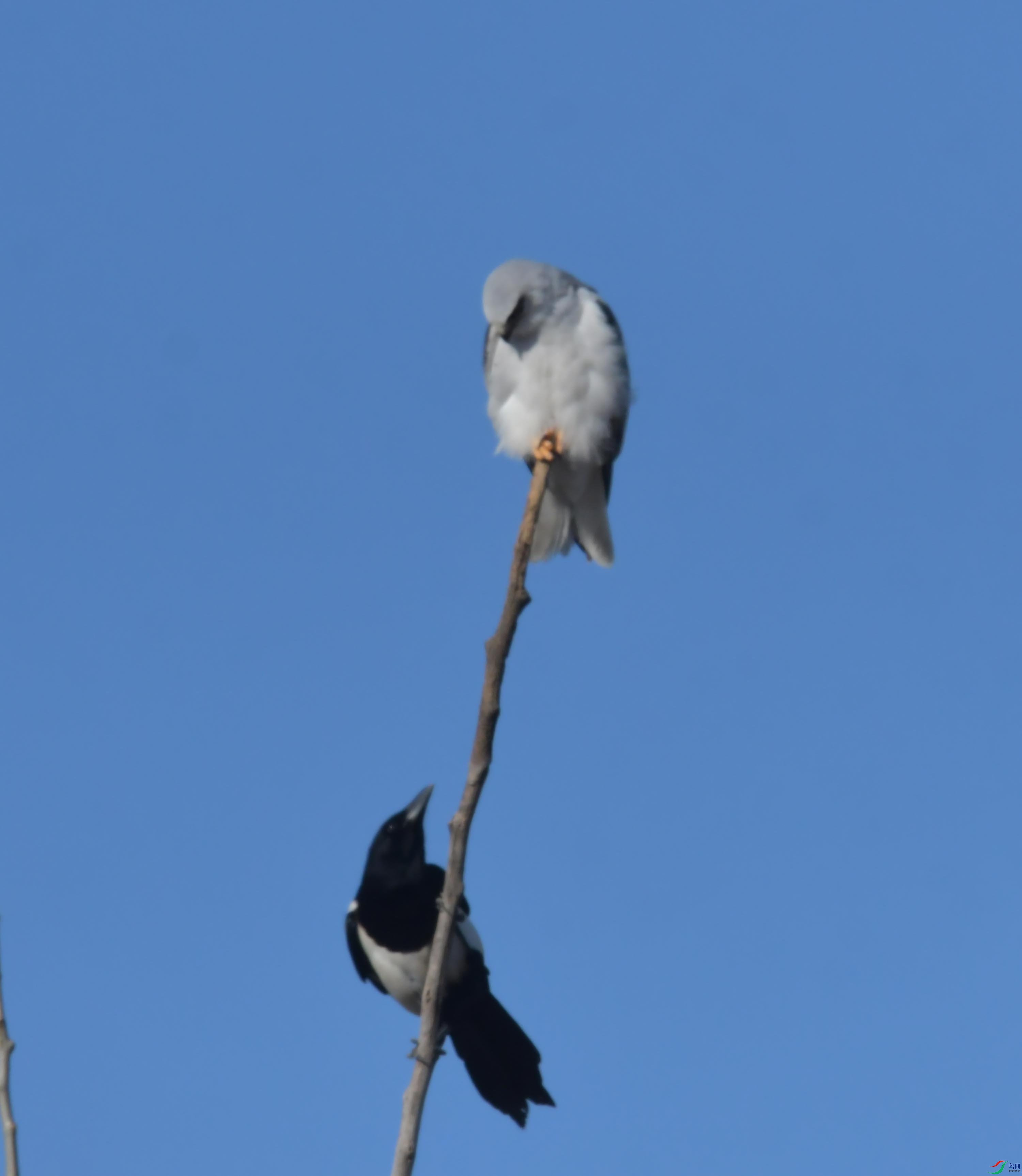 DSC_4355.JPG