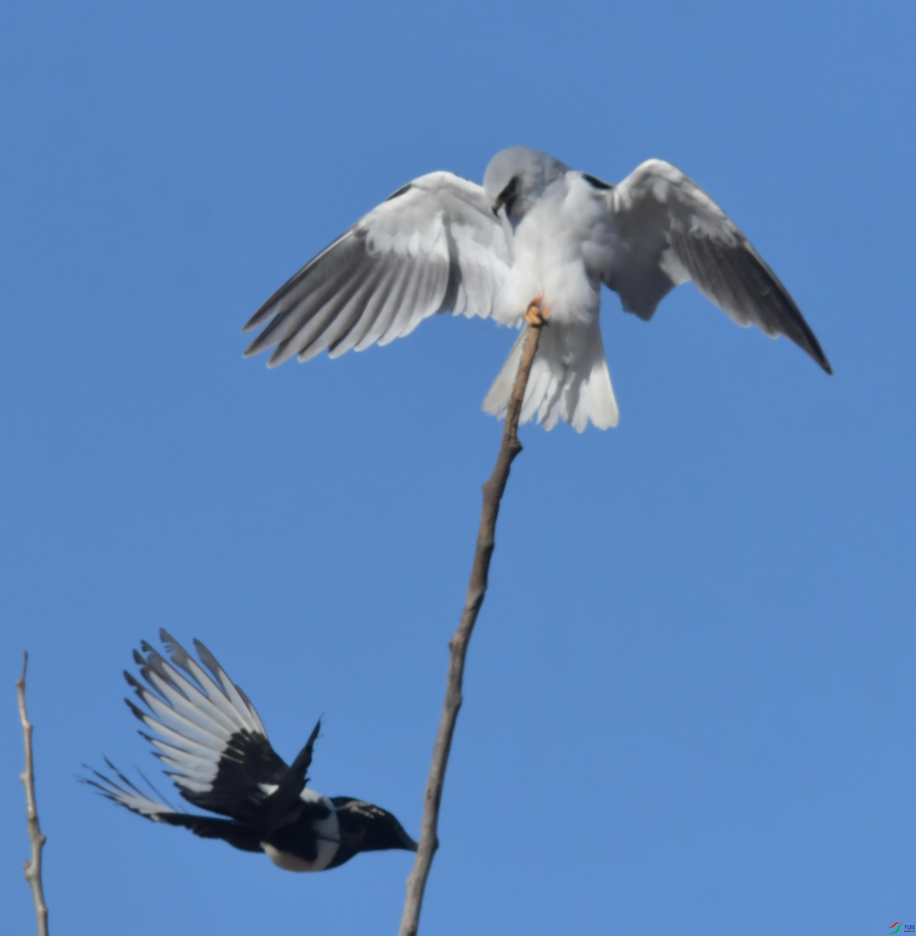 DSC_4359.JPG