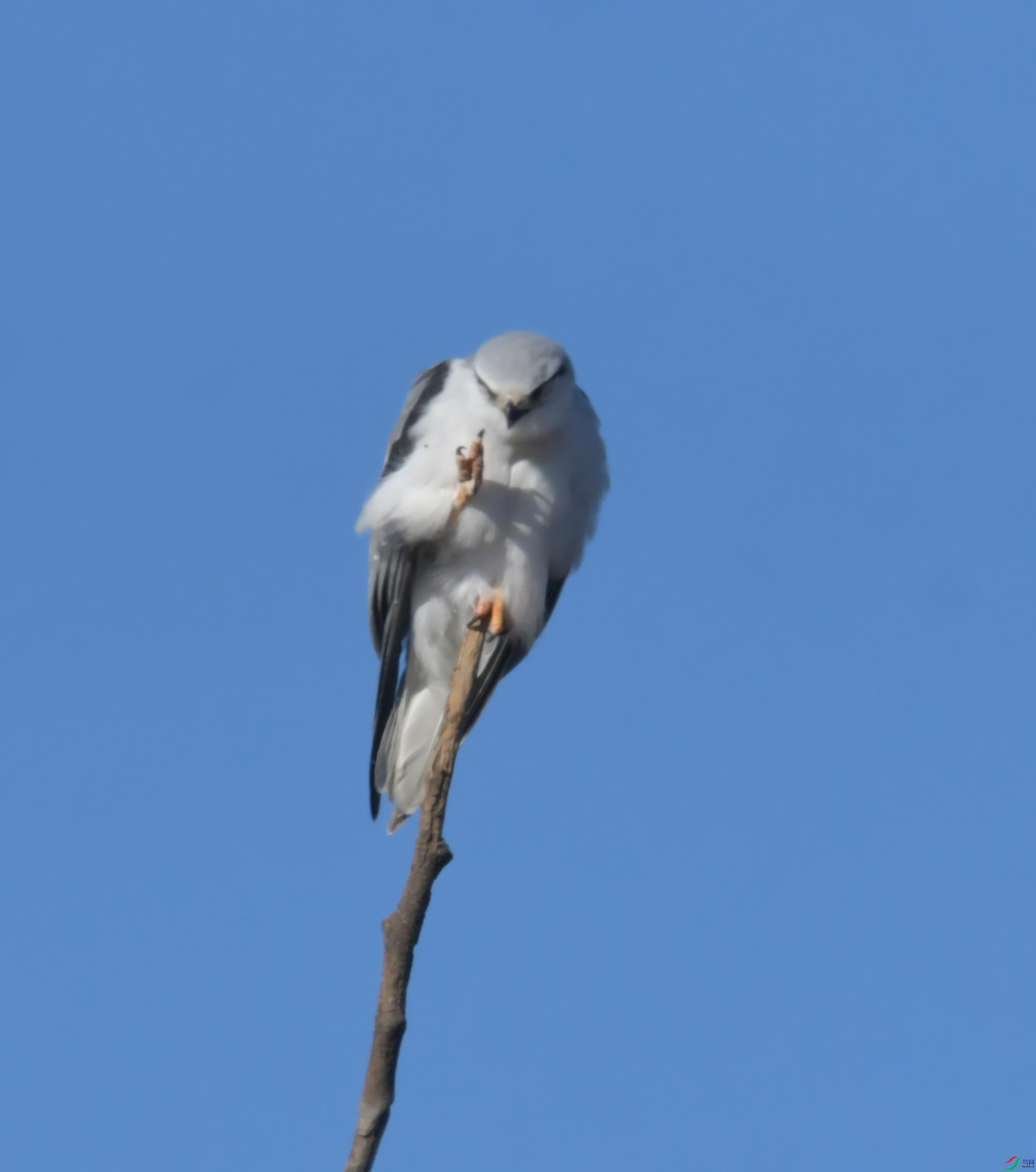 DSC_4386.JPG