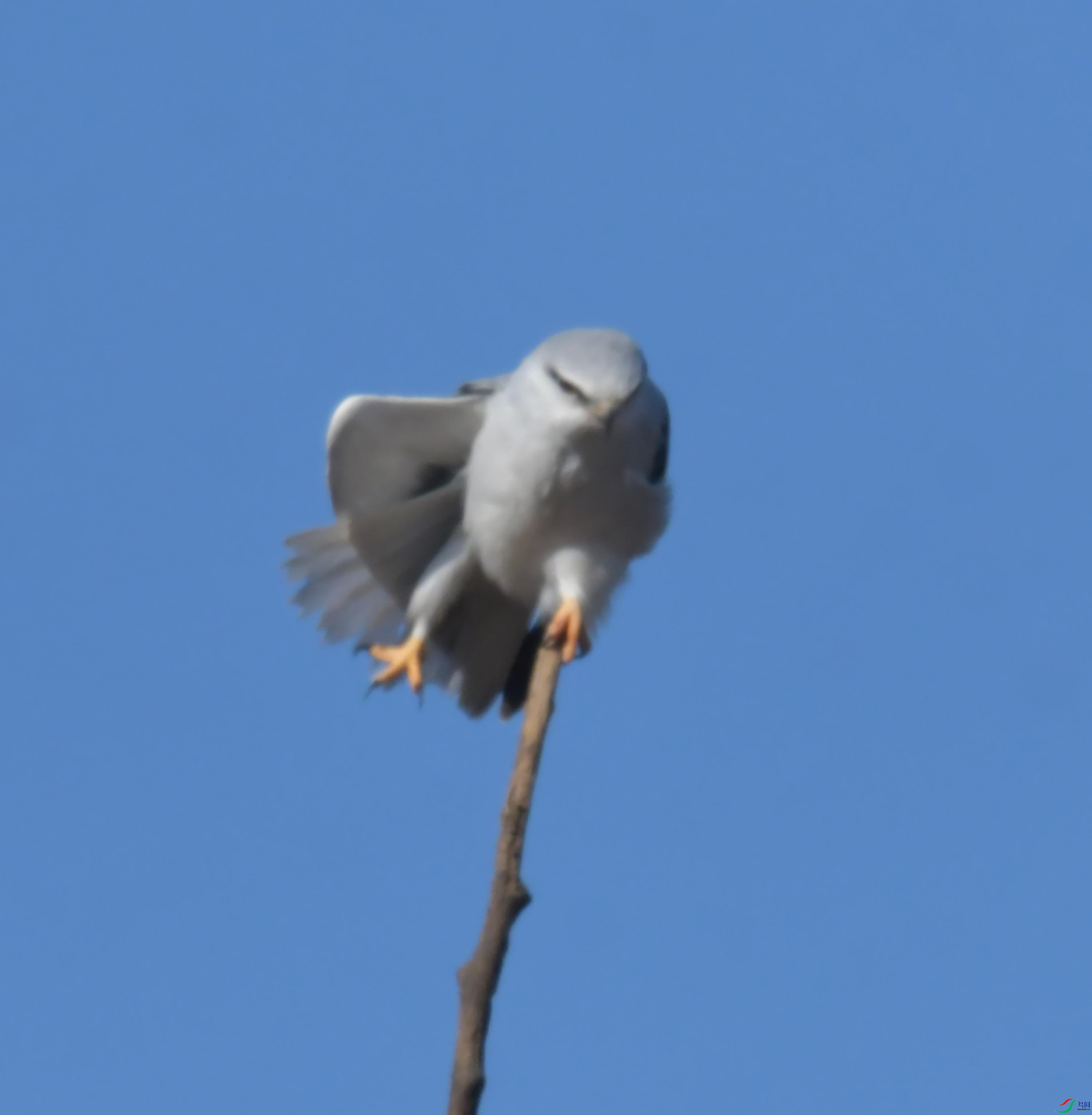 DSC_4398.JPG