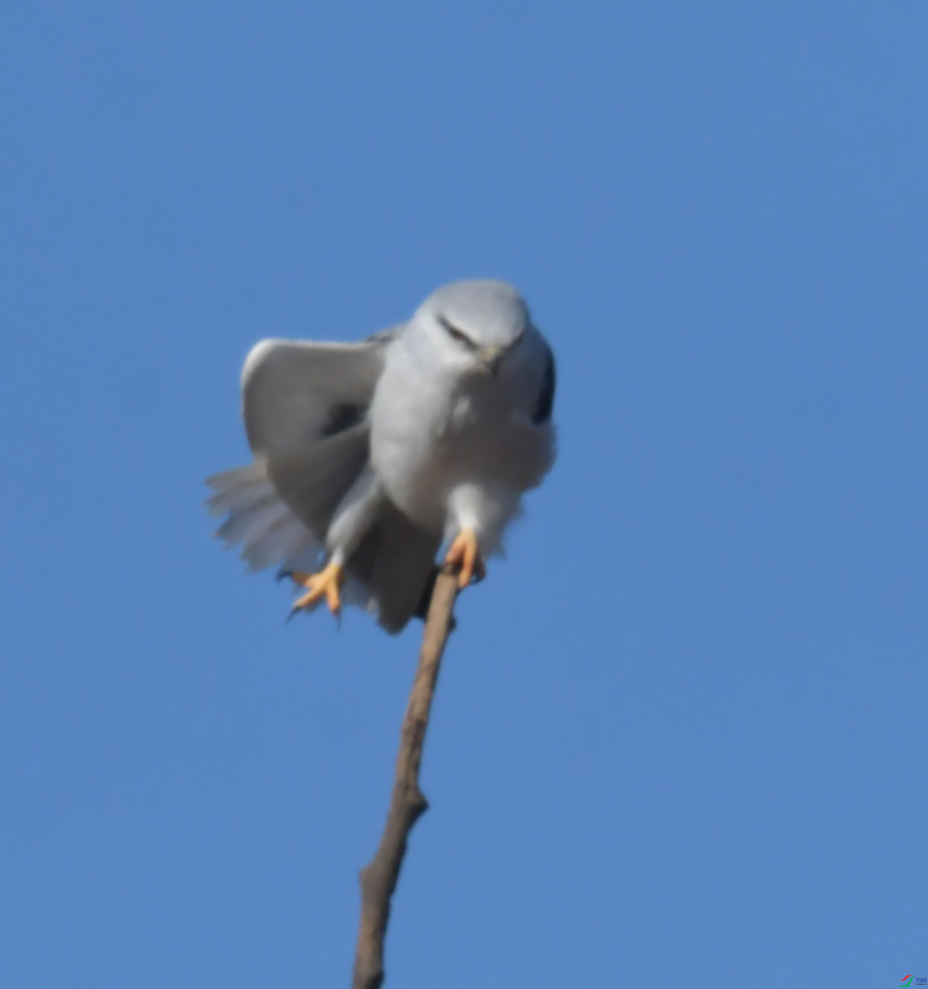 DSC_4399.JPG