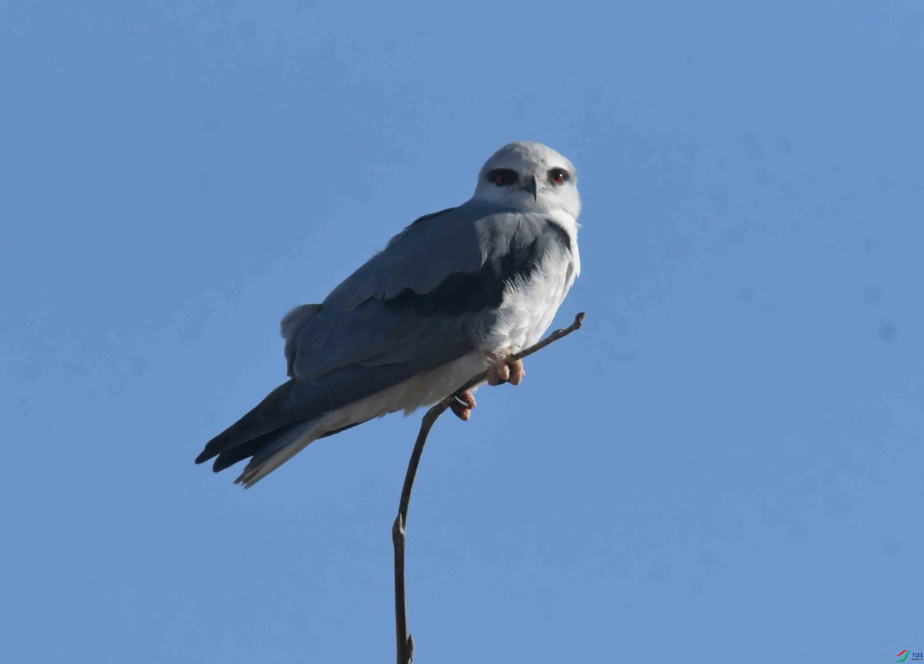 DSC_7567.JPG
