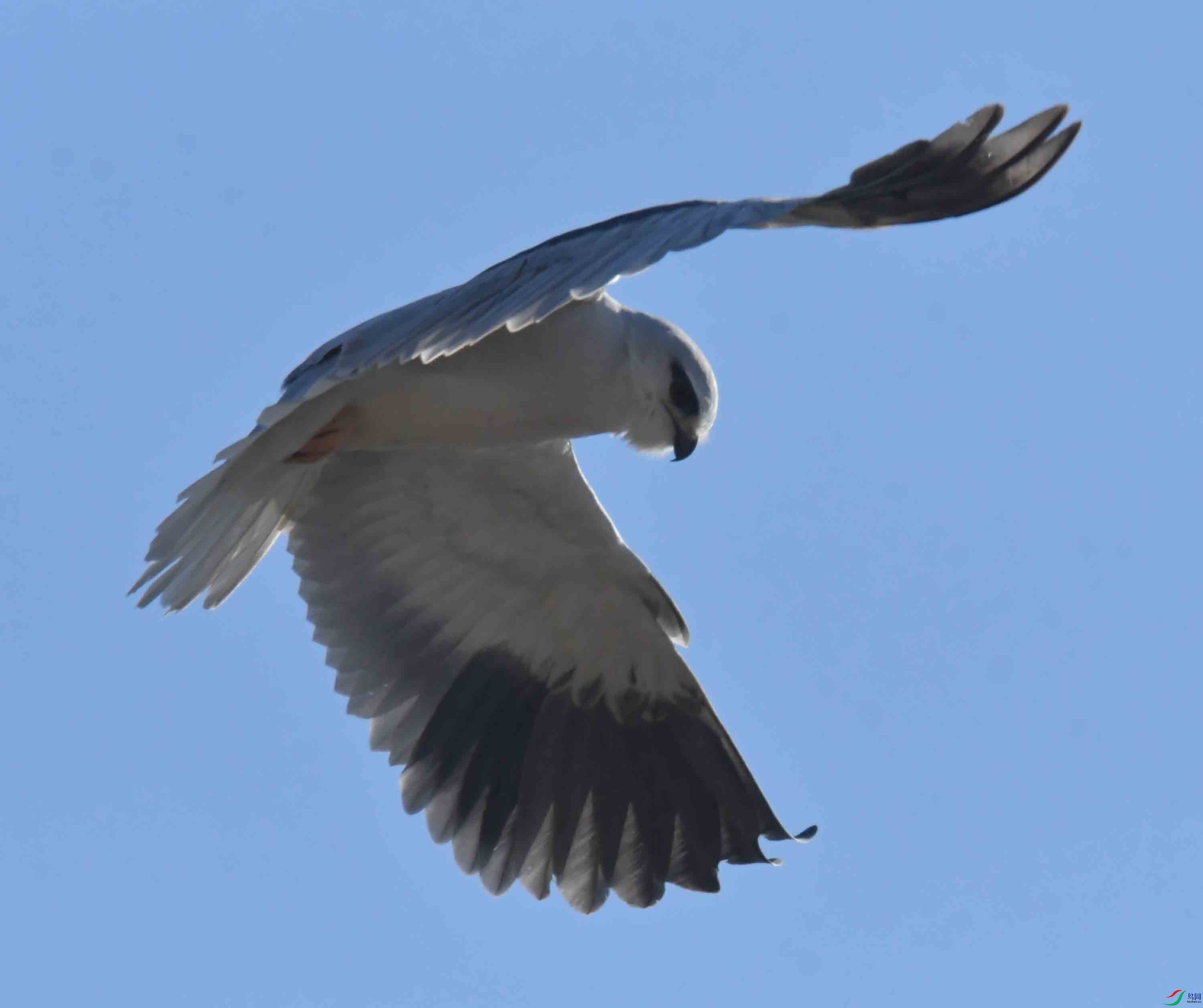 DSC_7605.JPG