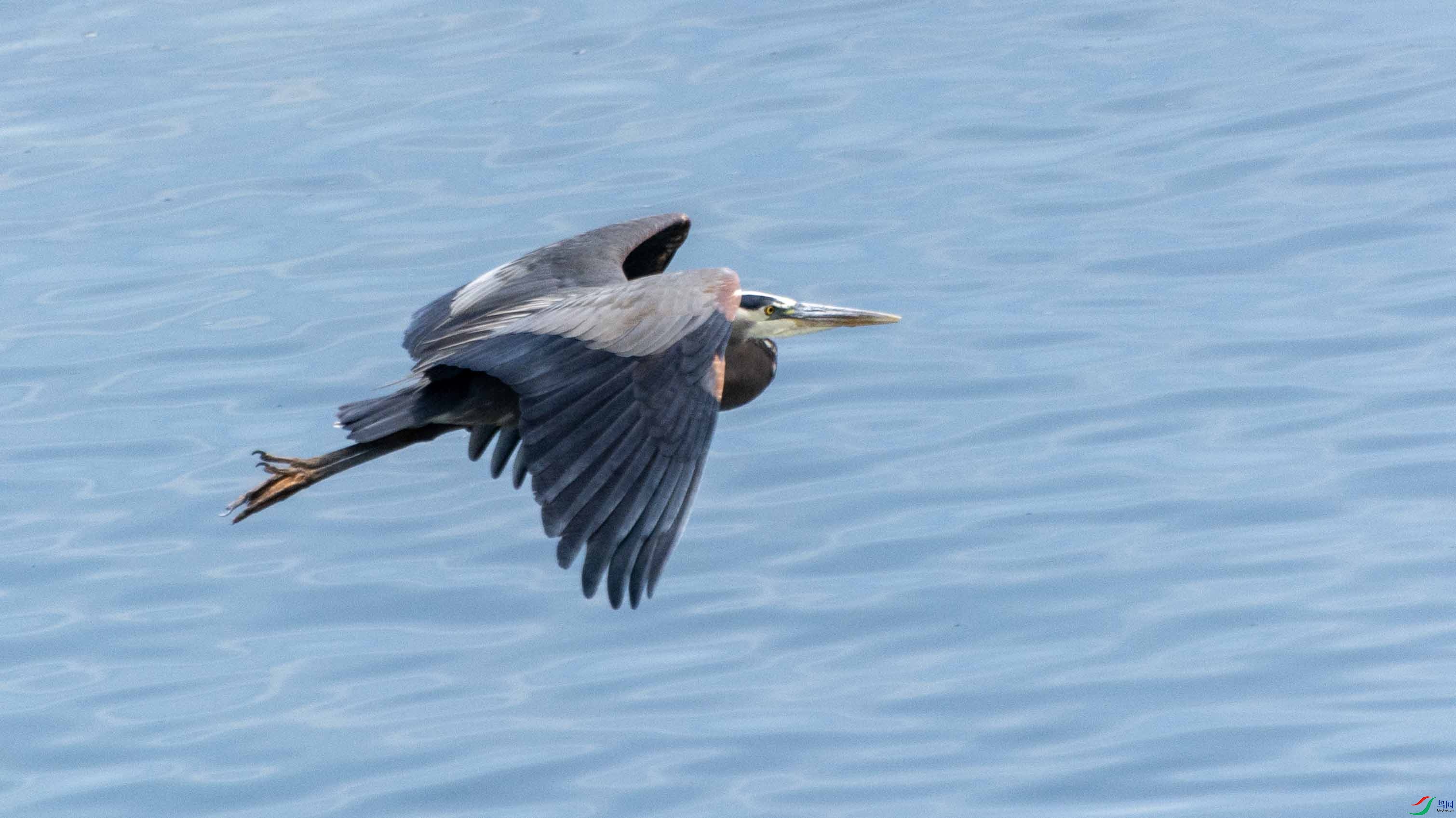 DSC_7700 ����.jpg