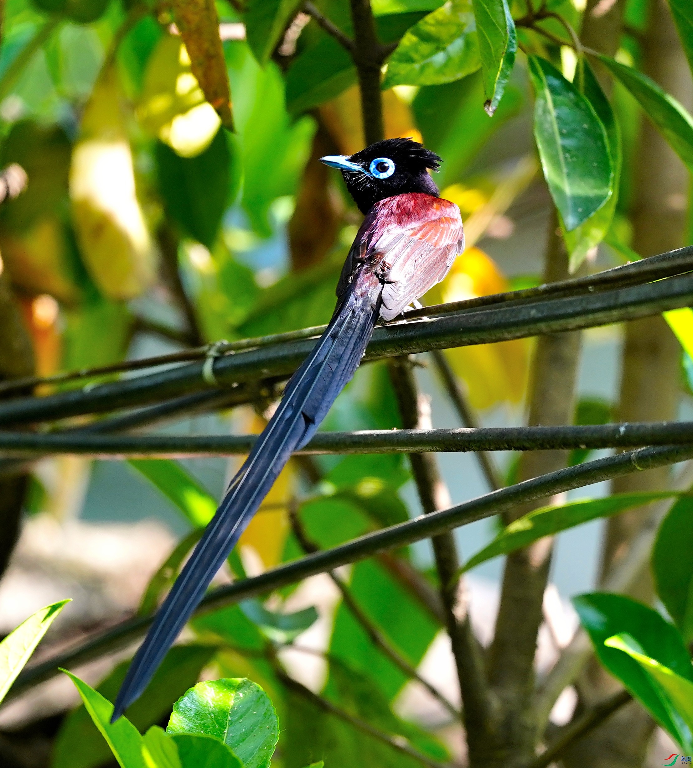 DSC01957-2023-5-12.JPG