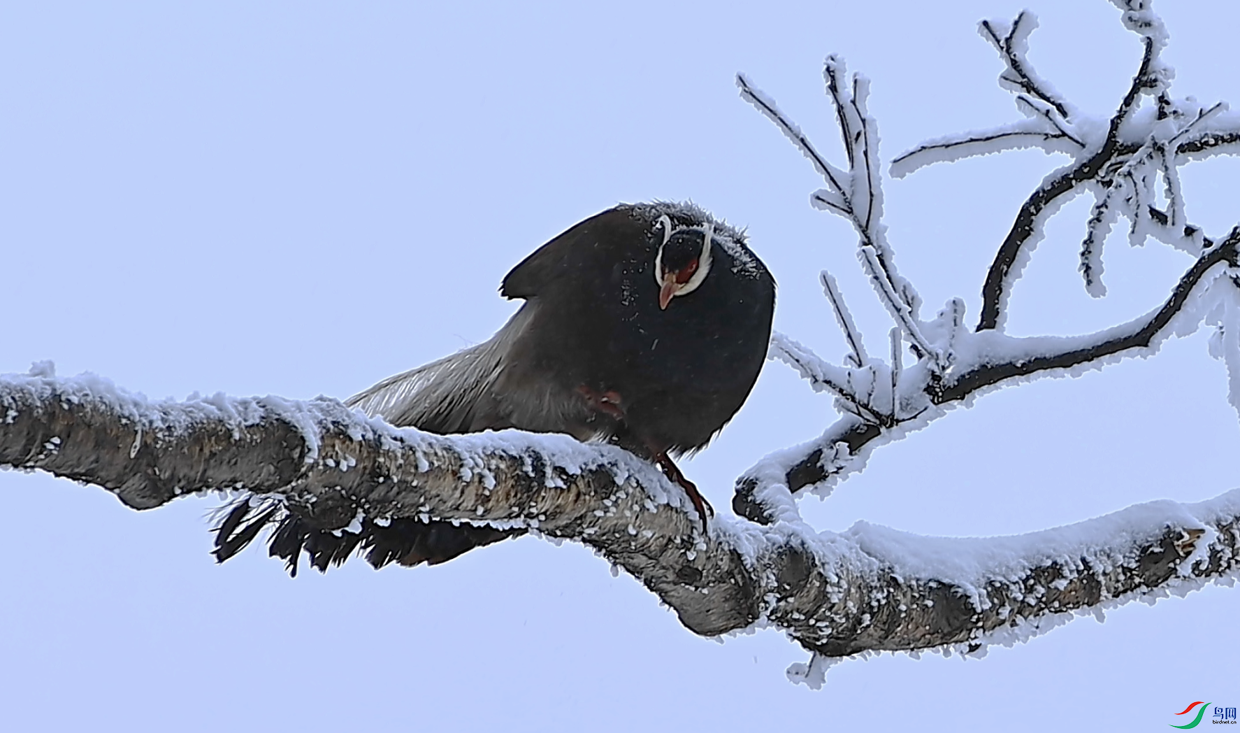 ����2024-08-23 07.56.42.png