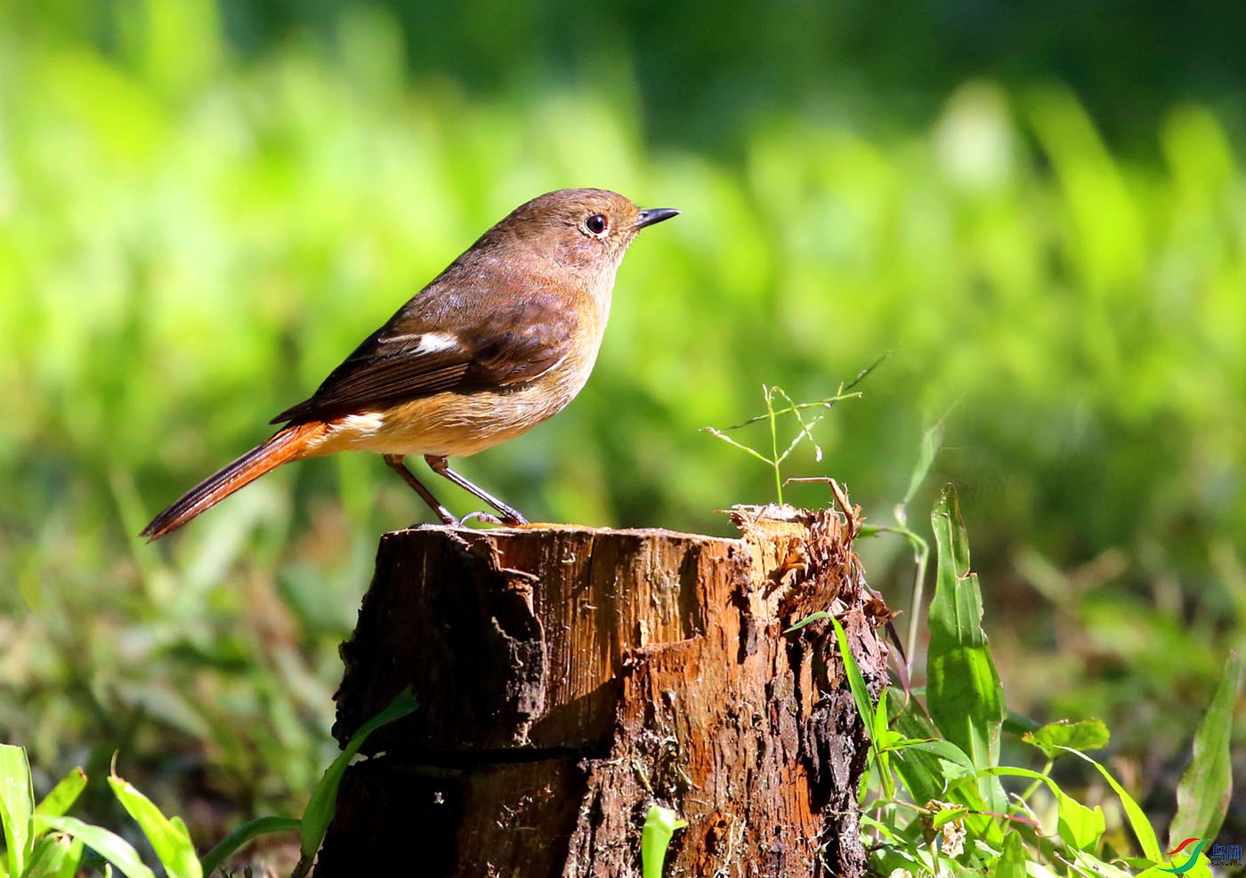 04-�� ��.jpg