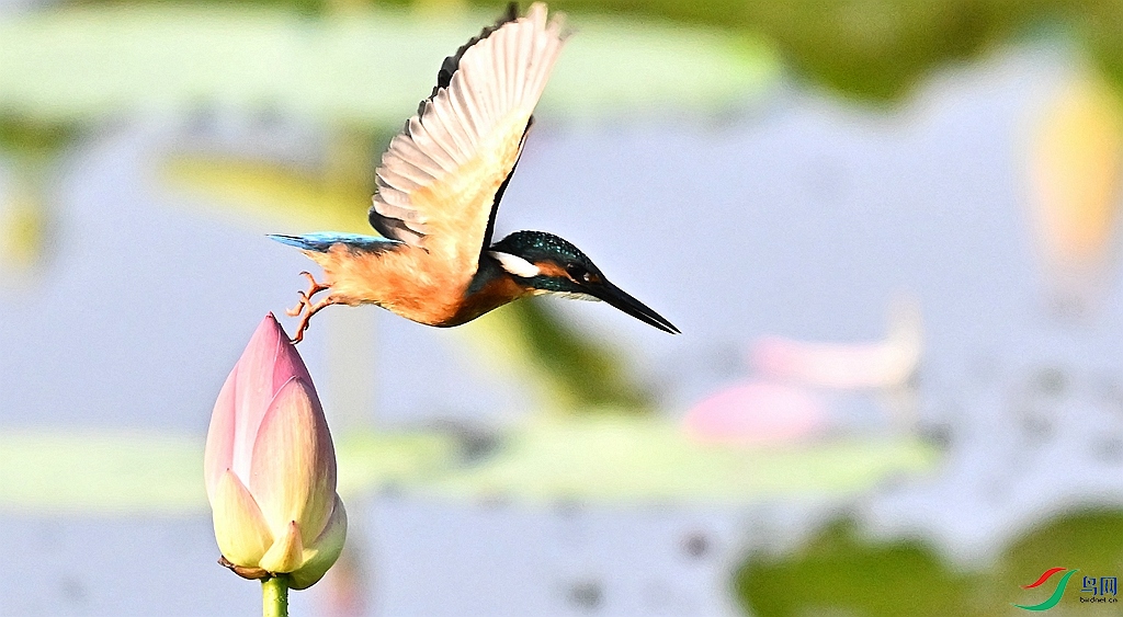 DSC_4161.JPG