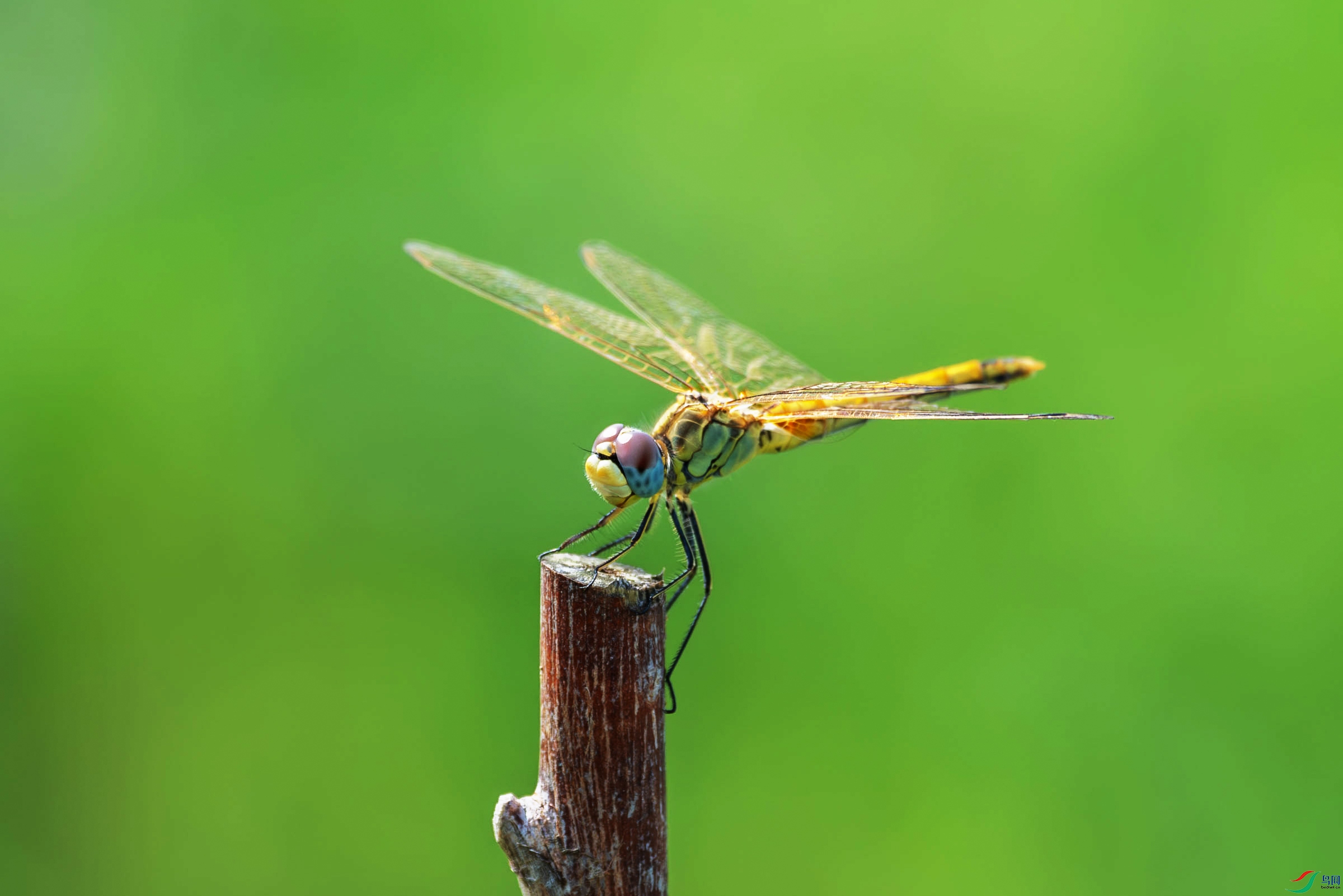 DSC_3799.jpg