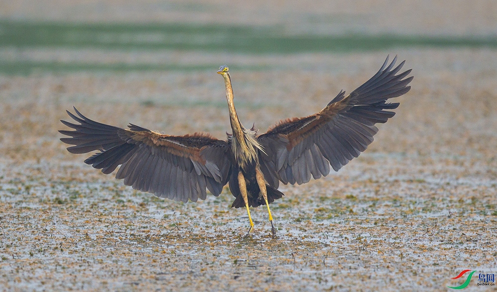 ���� (2).jpg