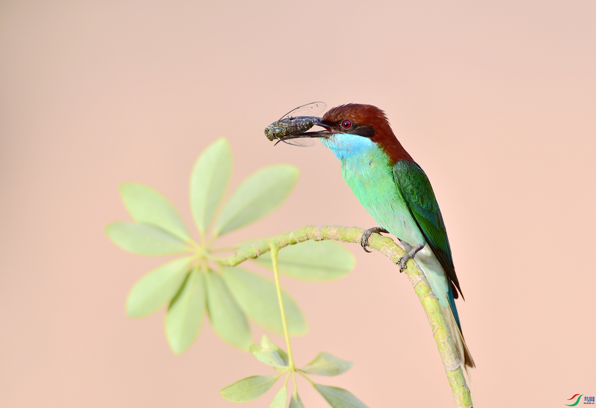 D8I_6977.jpg